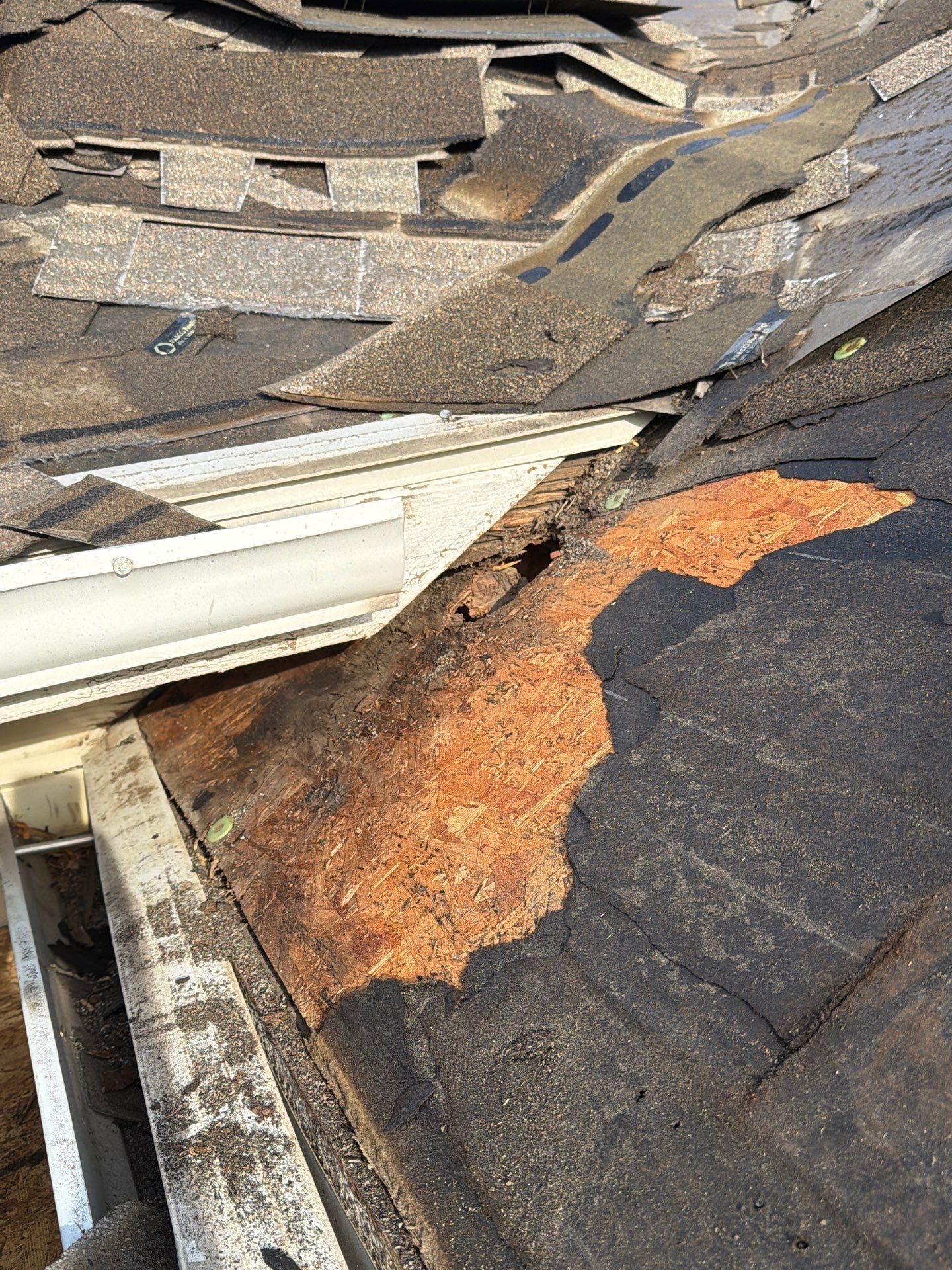 Residential Roof Replacement and Decking Repair in Boise by Olive Roofing