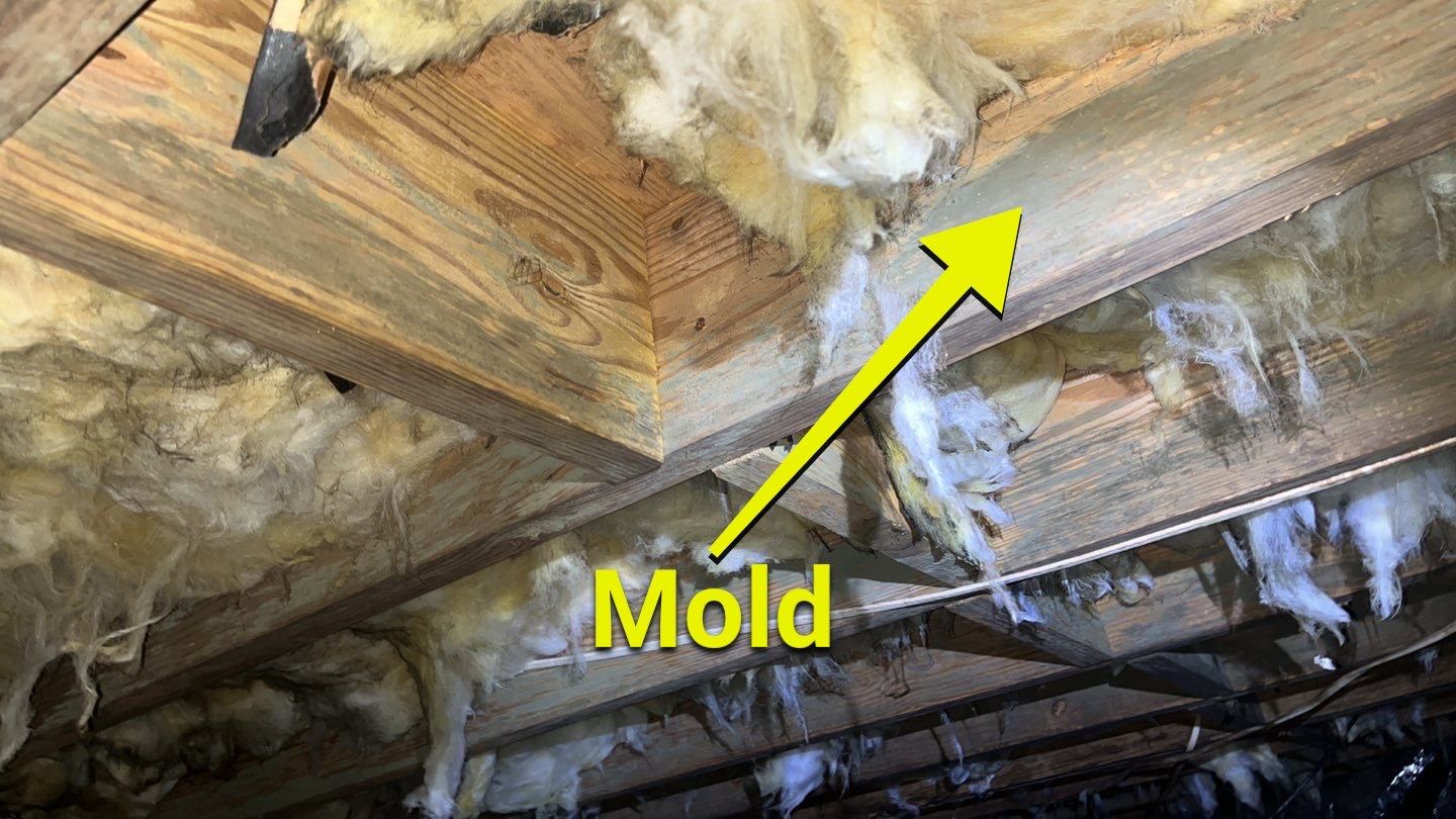 Impact Choice Encapsulation using YCS Pro Cleaner by Impact Crawlspace