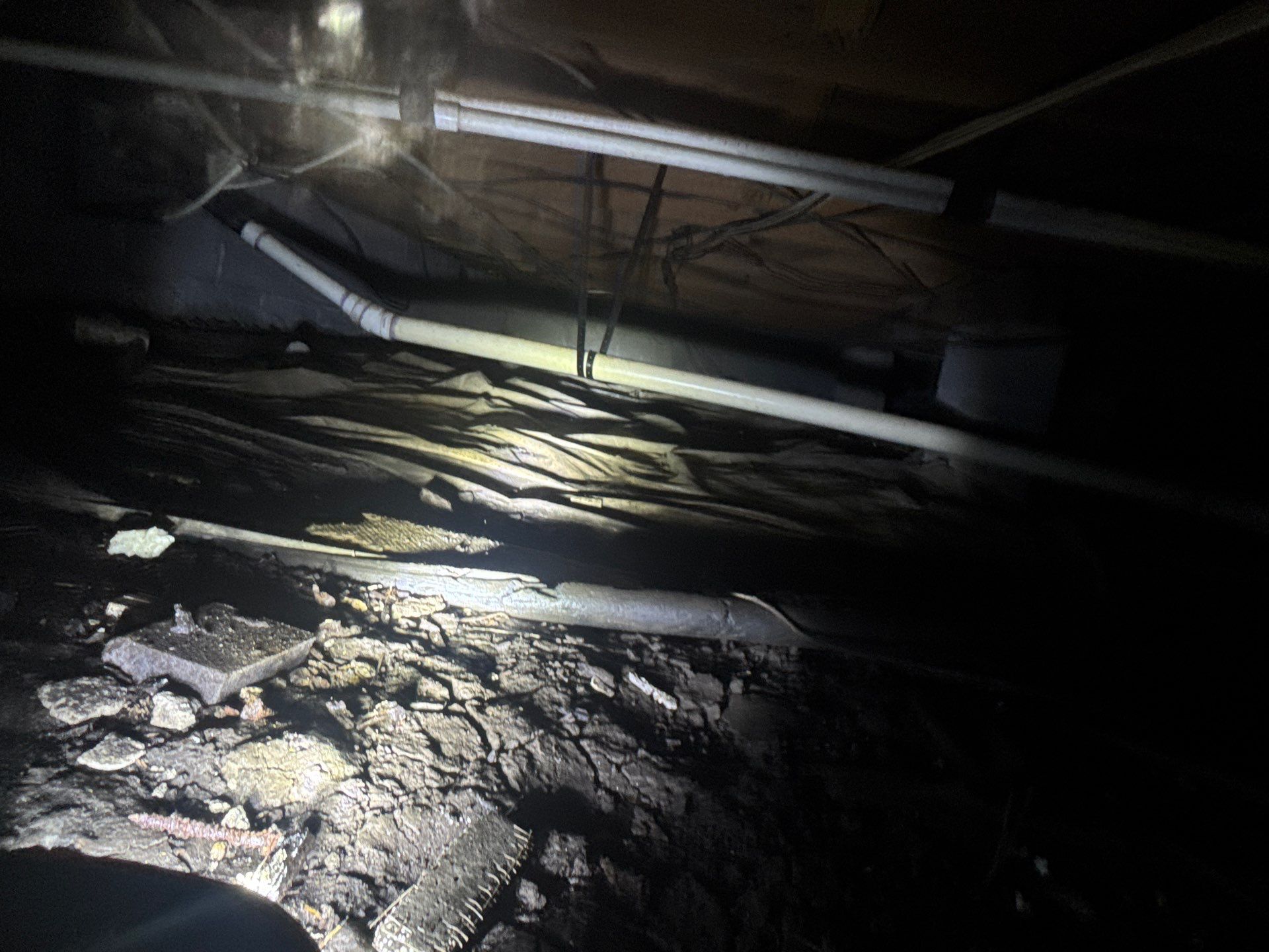 Project in Norfolk by Patriot Crawl Space Repairs