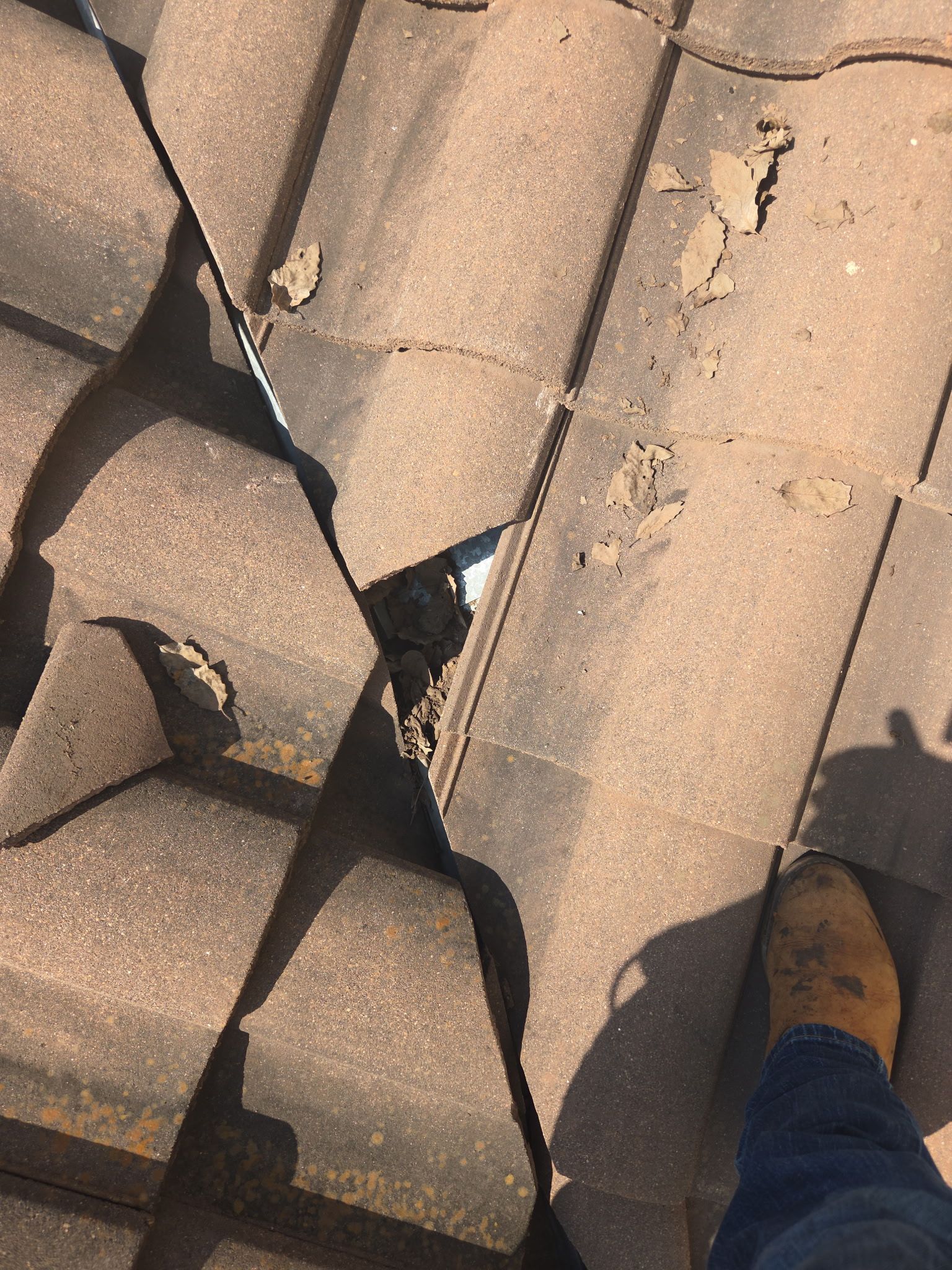 Lots of tile repairs out in Spicewood by REPS OF TEXAS