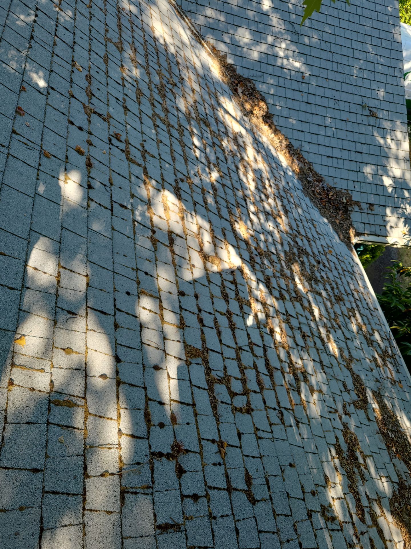Roof Restore using Pressure Washer by Byers Enterprises 