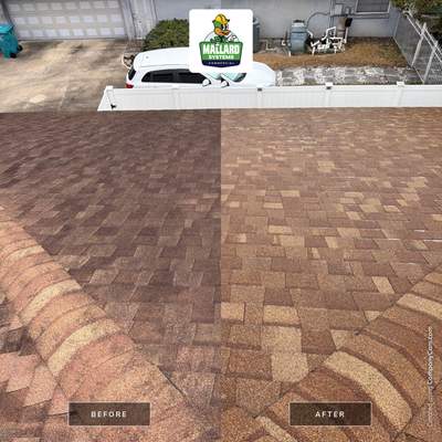 Shingle Roof Cleaning