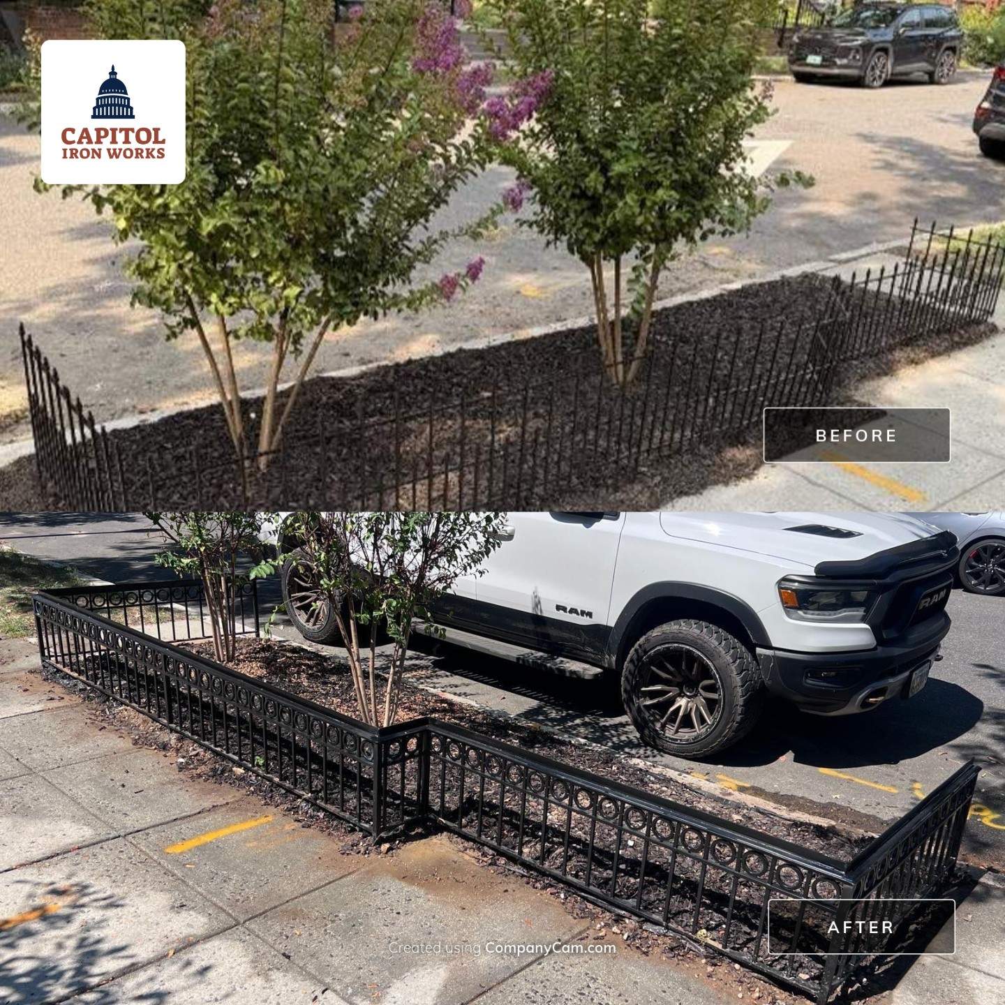 Decorative Metal Tree Box Fence Installation in Washington, DC by Capitol Iron Works
