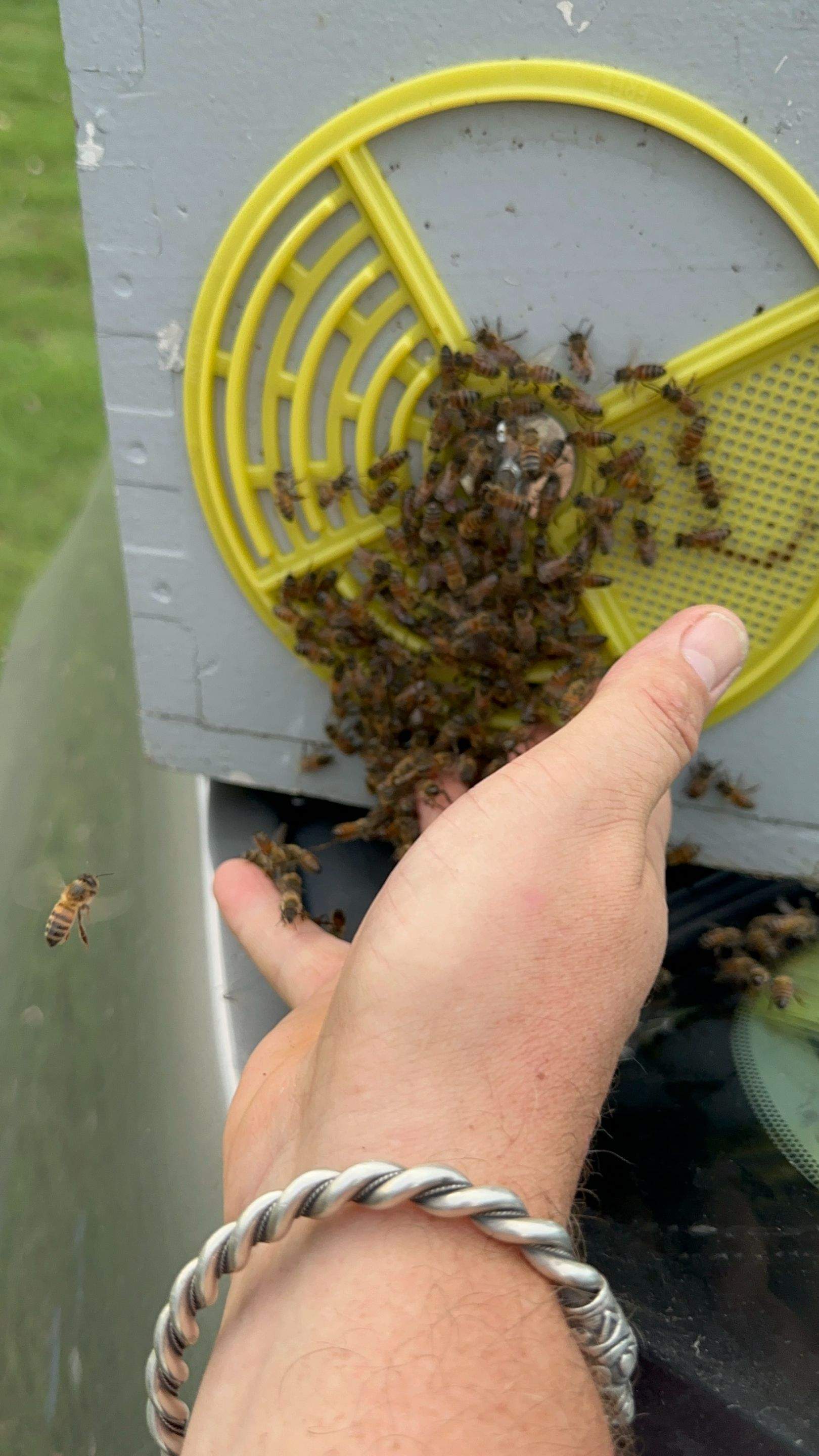 Composter by Rockwall Honey Bee Company