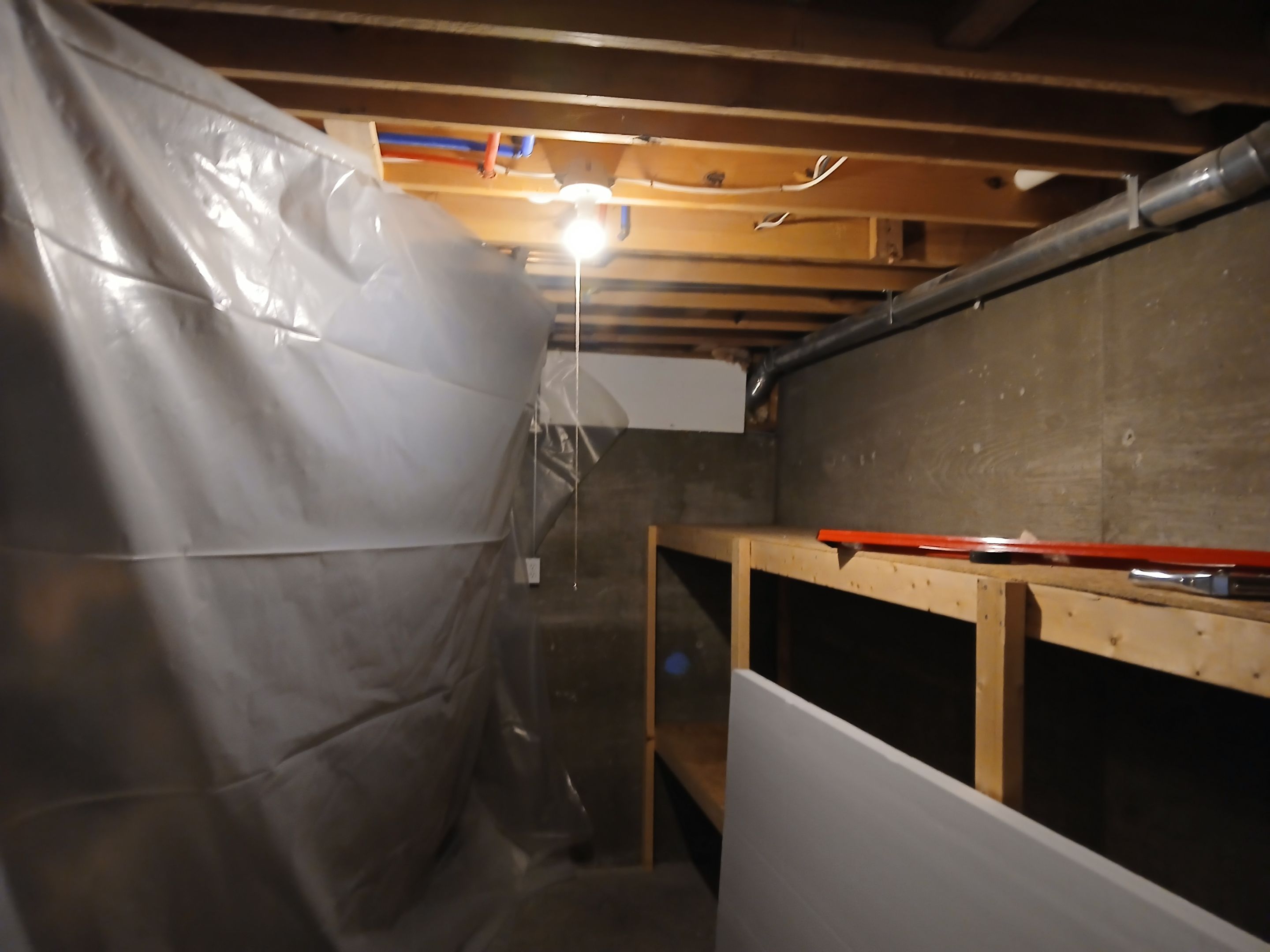 Basement Mold Remediation in Prospect, KY by ANR Restoration