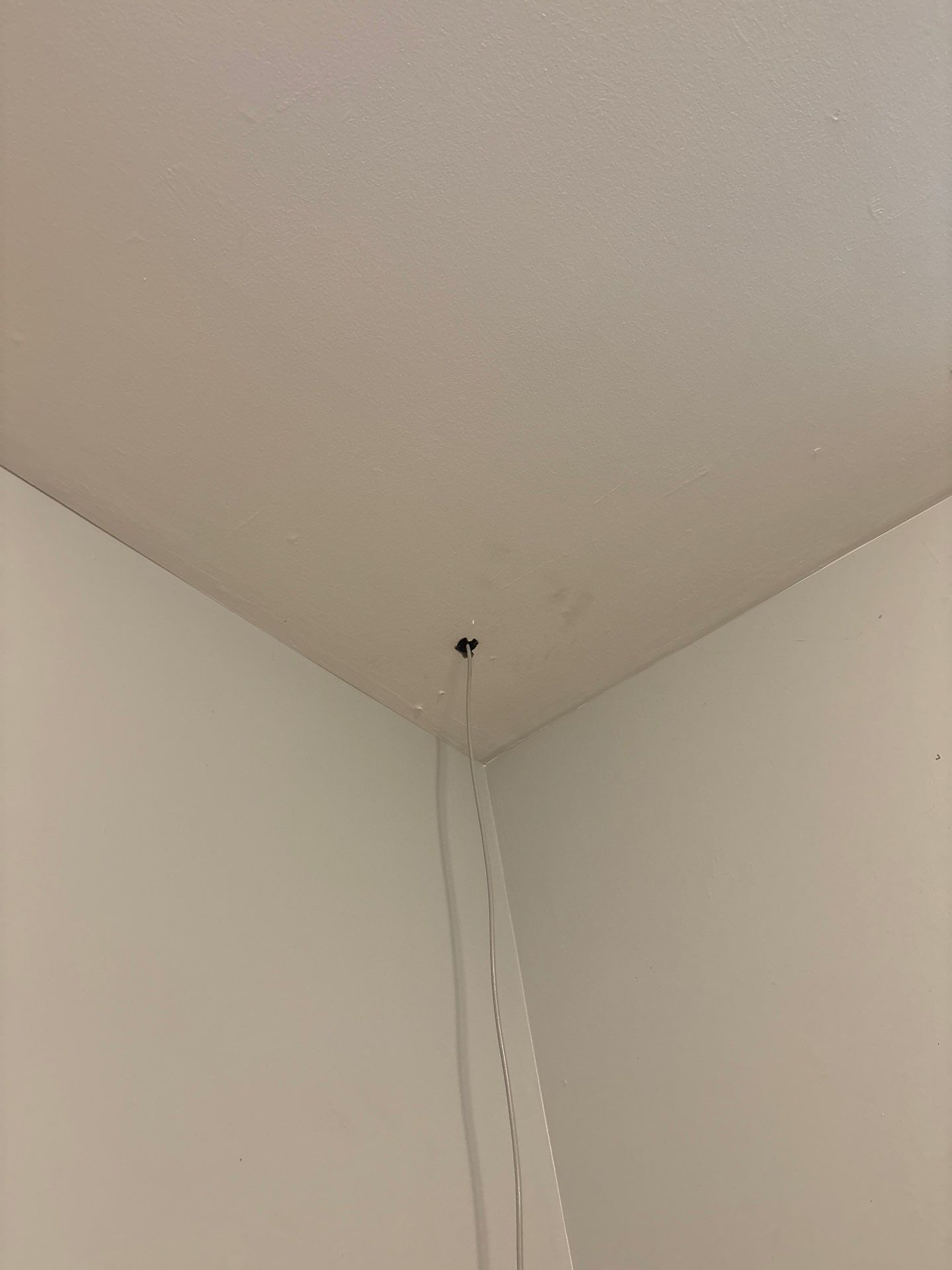 Denver Interior Water Damage Remediation and Ceiling Repair by CompanyCam Sales Demo