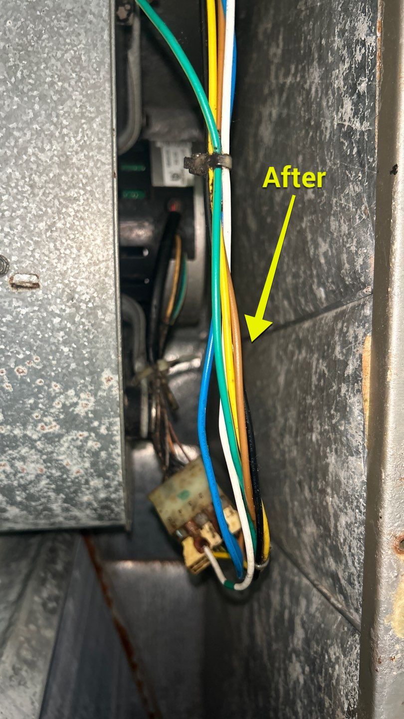 Air Duct Cleaning in Clermont by Hygienic Air, Inc