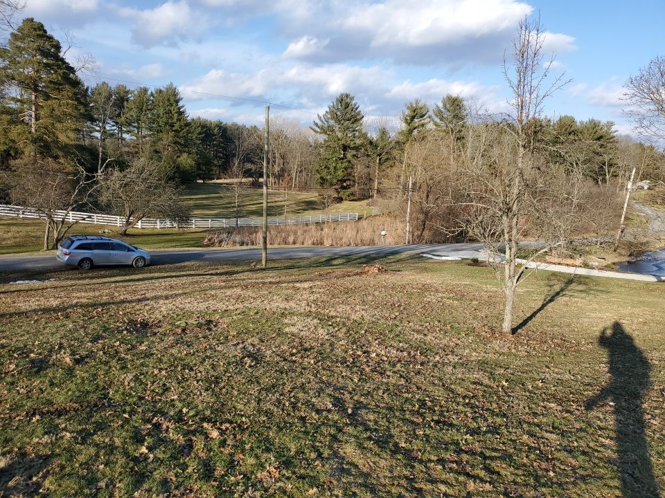 Tree Removal using Tree Removal by Mike Jones & Sons Tree Service LLC 