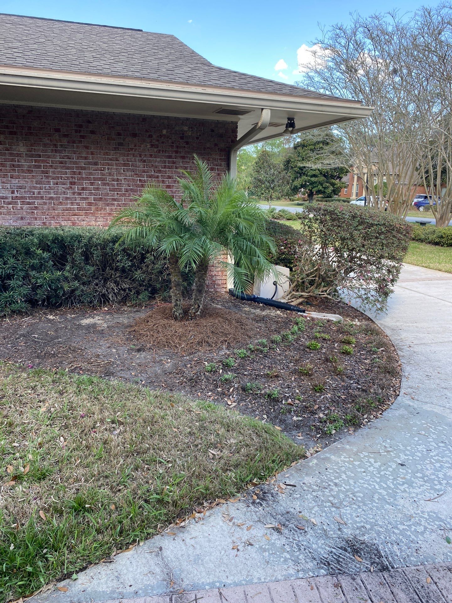 Deerwood Resident | Sod Install & Shrub Removal by ProGreen Services