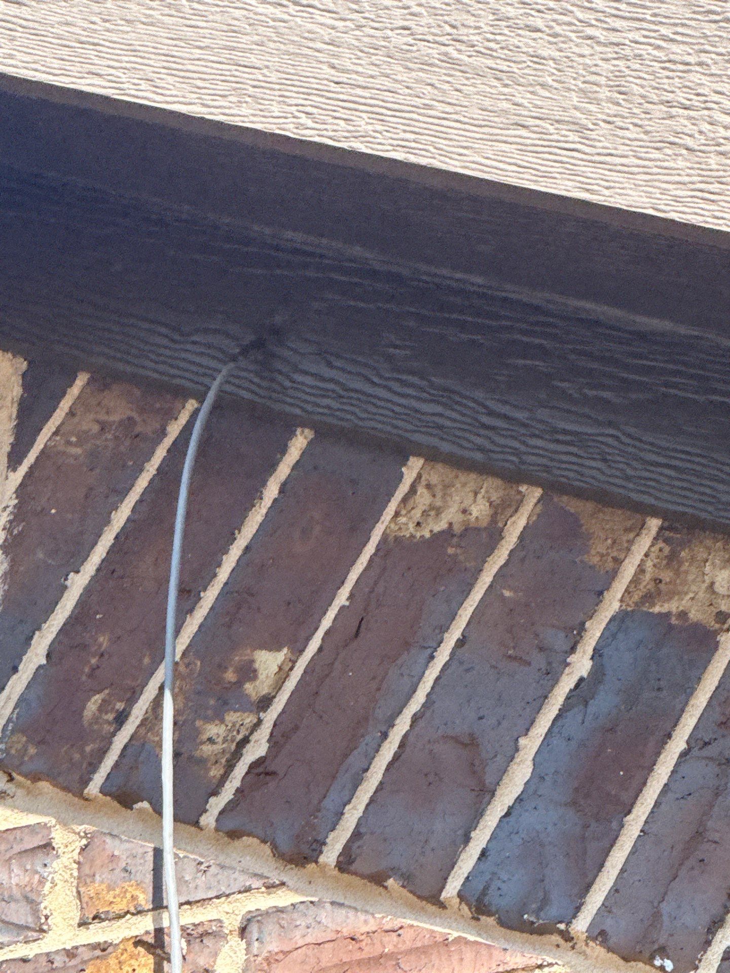 The Tatarin Family by SophAlx LLC