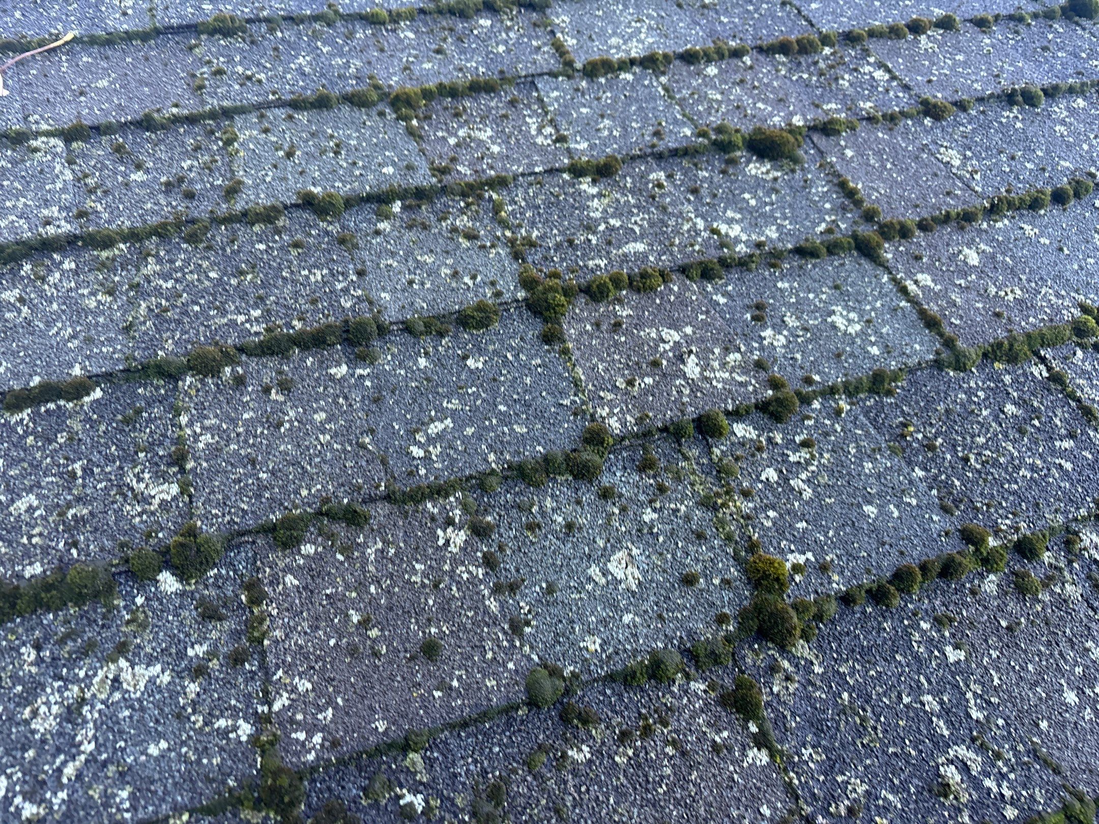 Roof Replacement using Certainteed Landmark Climate-Flex by 180 Contractors