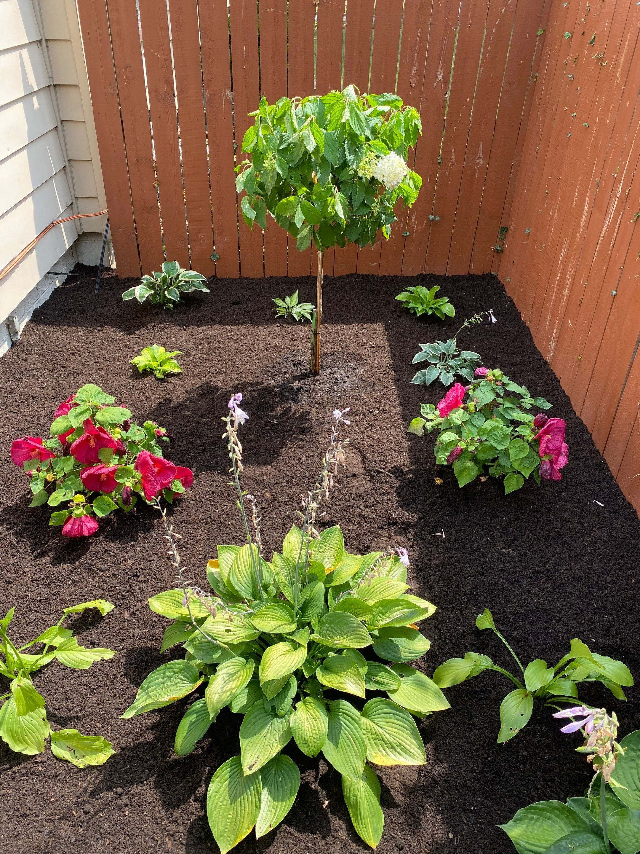 Memorial Garden Install by Elm Rose Gardens