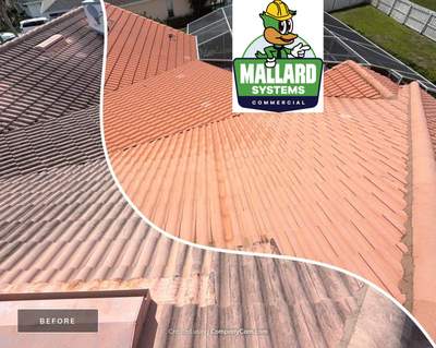 Tile Roof and Screen Enclosure Cleaning
