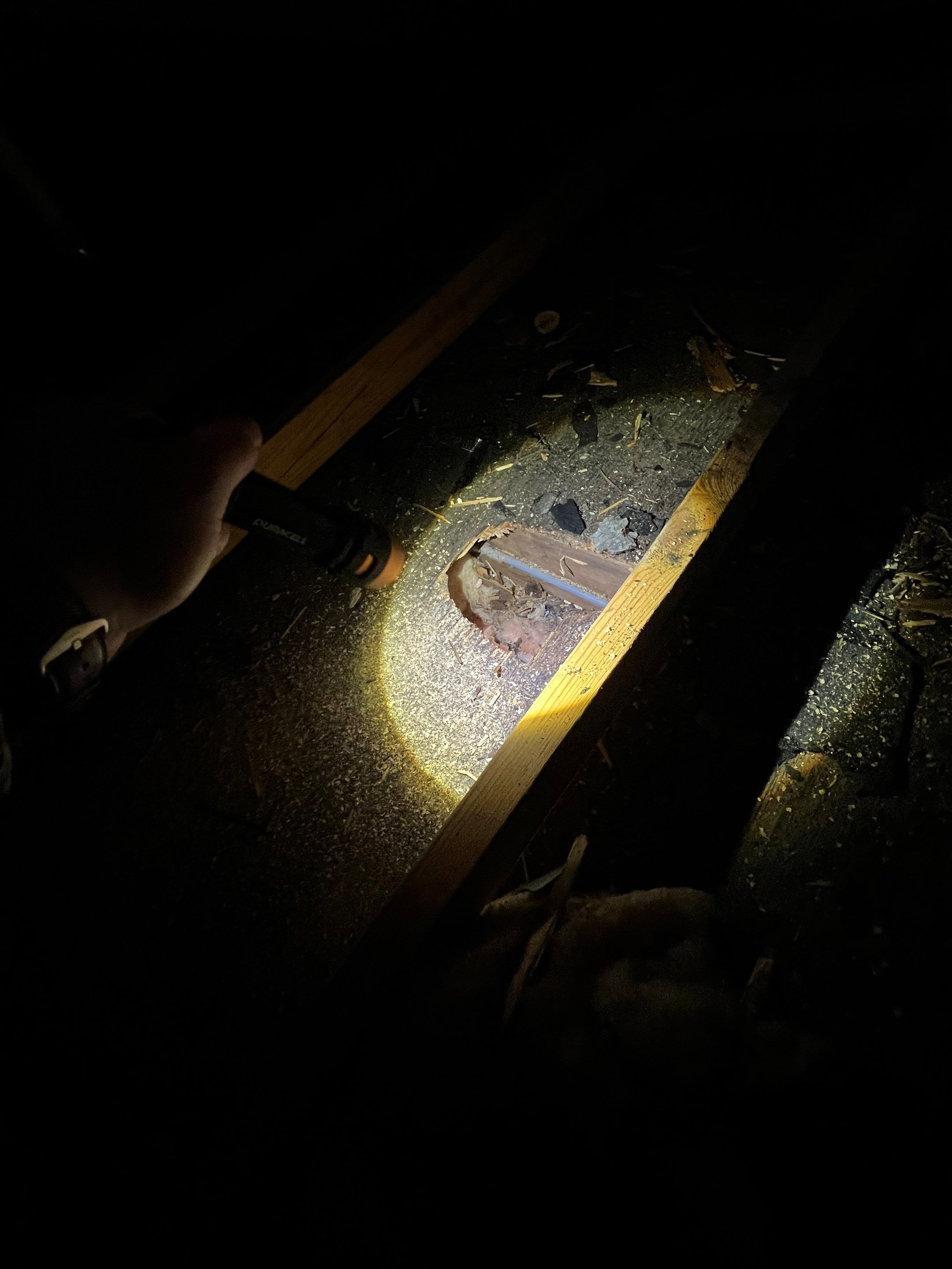 Manassas: CertainTeed Landmark Designer Shingles in Charcoal Black by RM Banning, Inc.