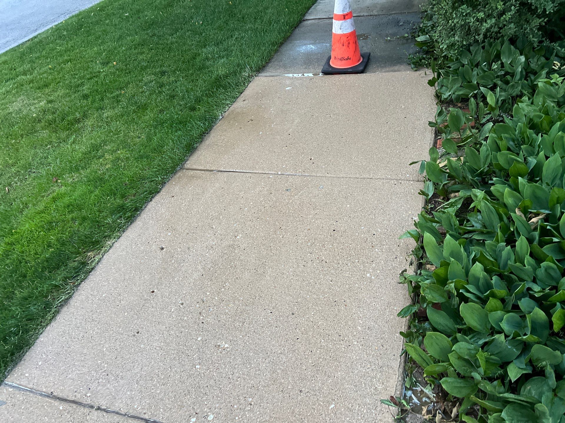concrete cleaning using Algaecide, soft wash soap by Northern Power Washing LLC.