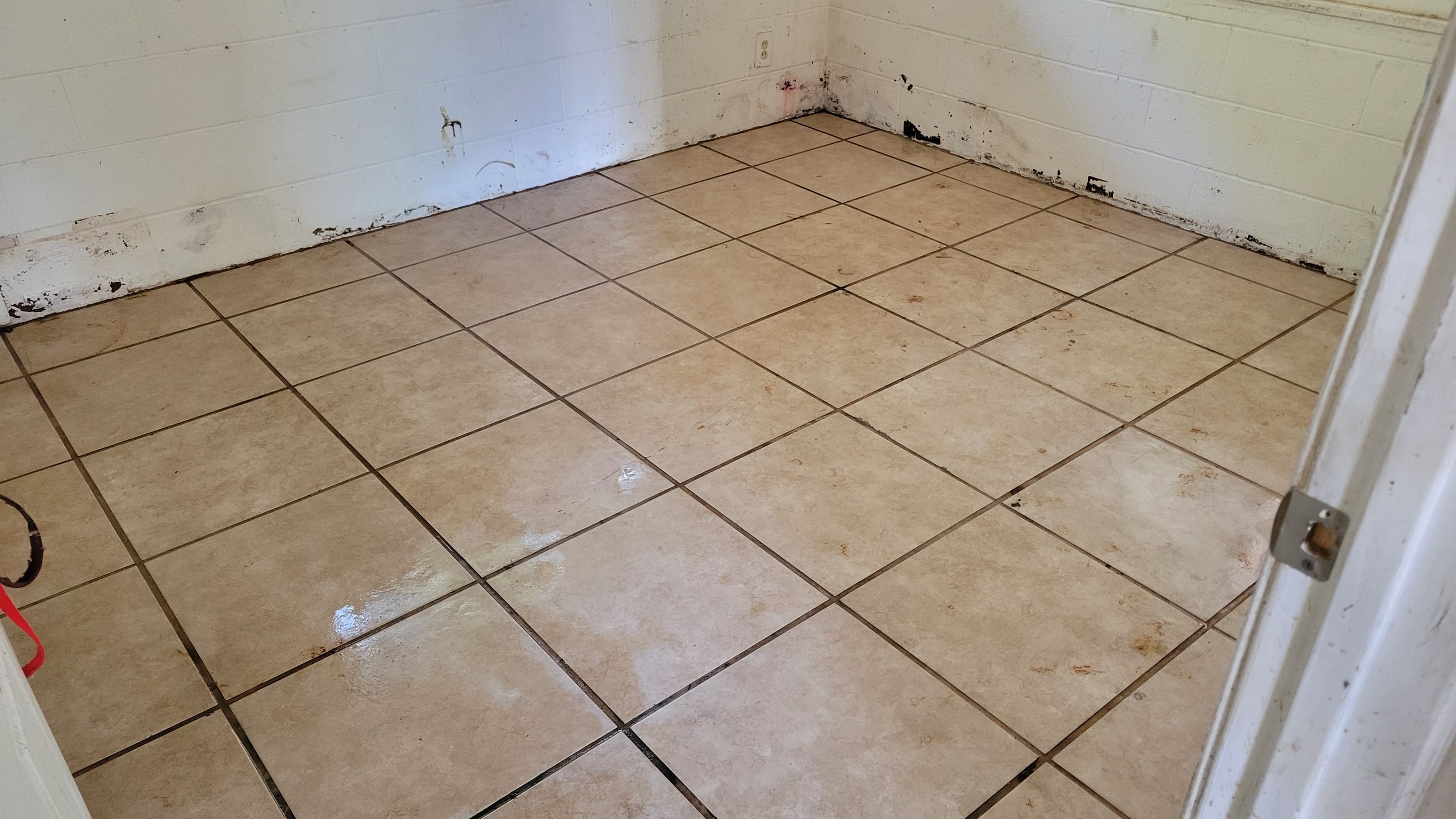 Extreme, Tile Cleaning by Ardent Carpet Restore LLC
