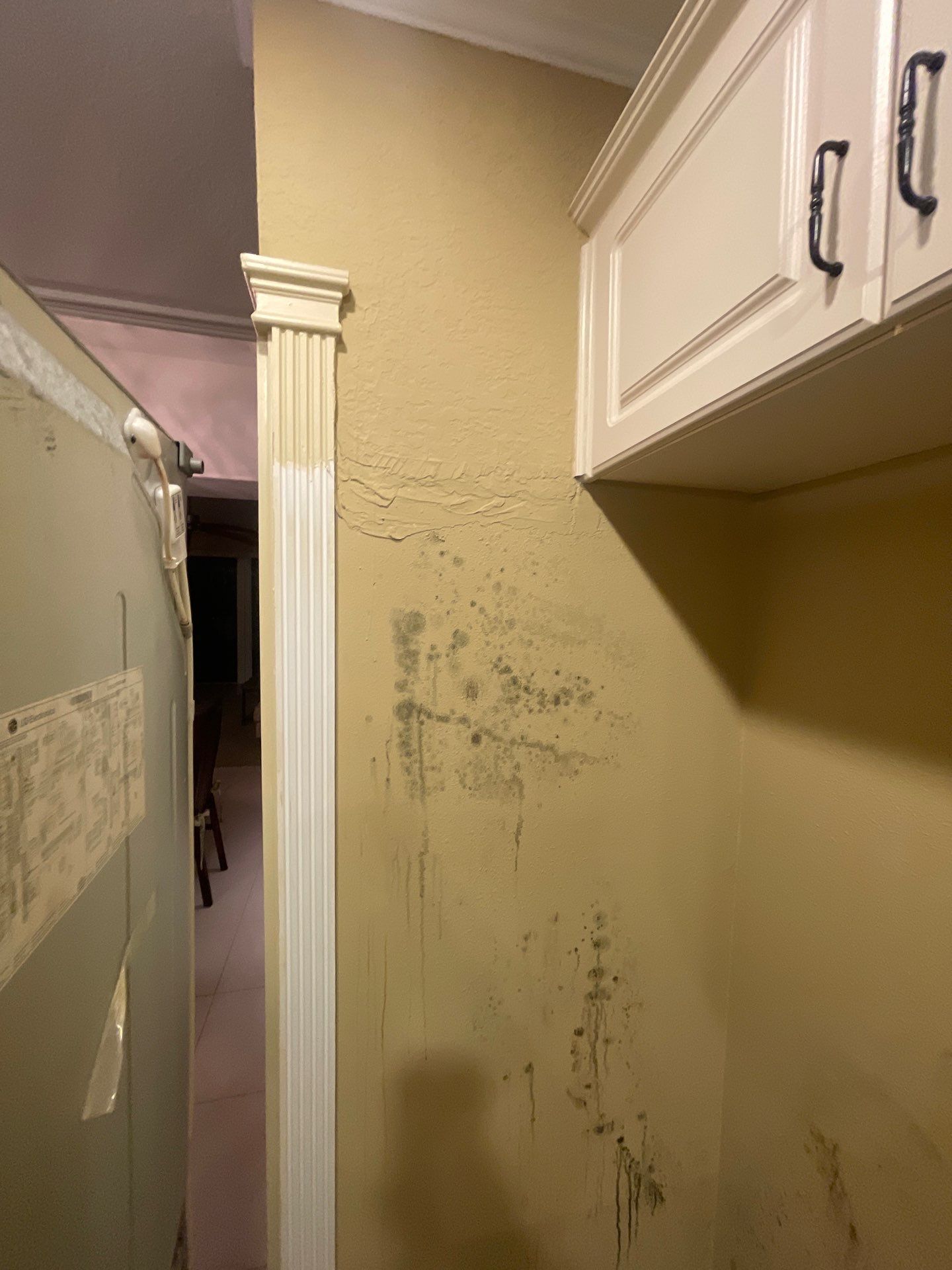 Mold remediation and rebuild of kitchen and living areas by Bay Coast Restoration 