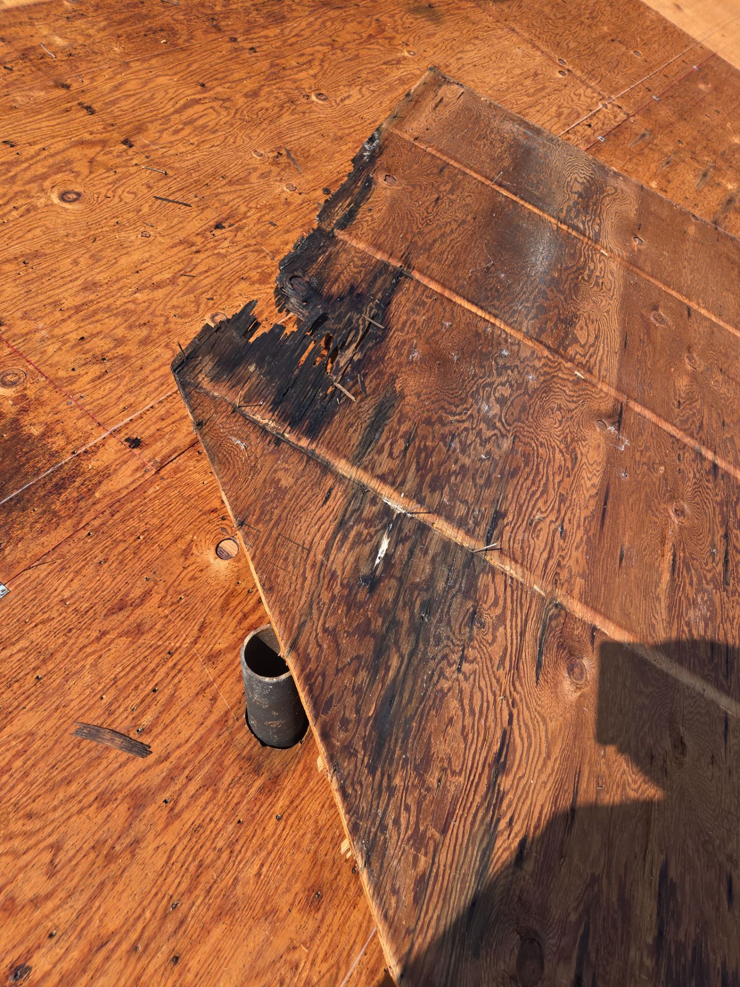 Project in St. Petersburg 33712 by Mitchell Roofing Company LLC 