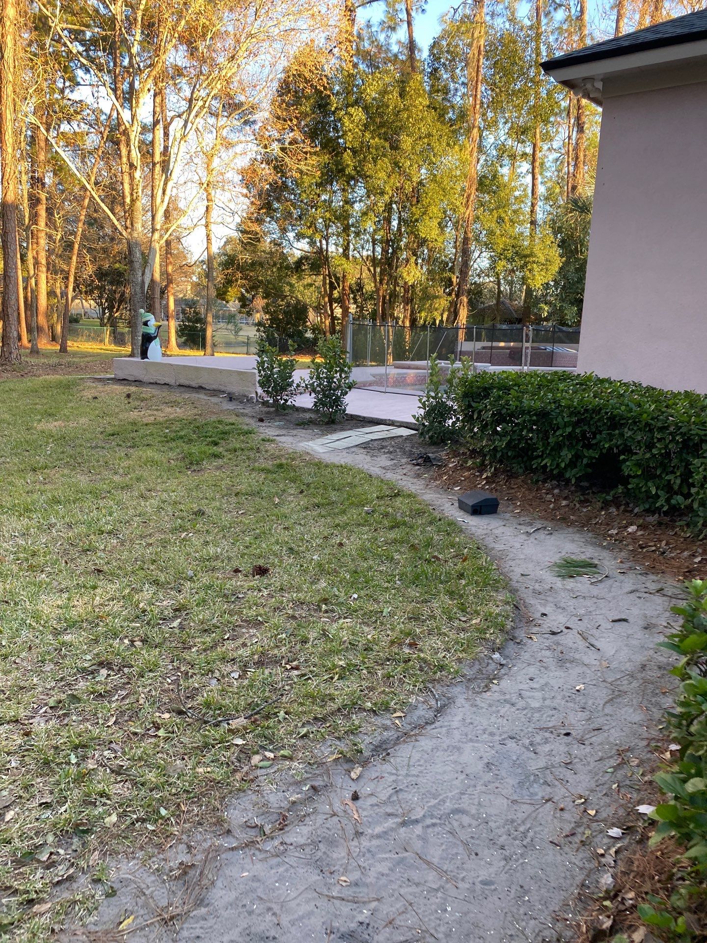 Deerwood Resident | Tree Removal & Clean-Up by ProGreen Services