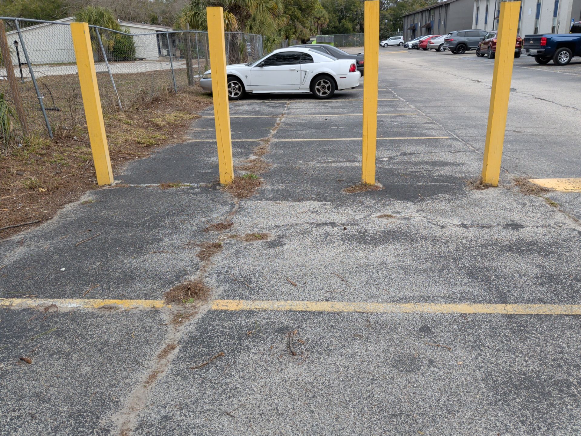 Commercial Landscape Cleanup & Weekly Maintenance — Grassy Pond Apartments by Harmoni Home Services