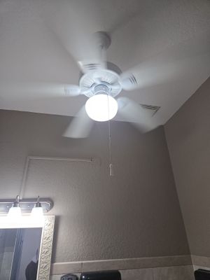 Project in Trinity