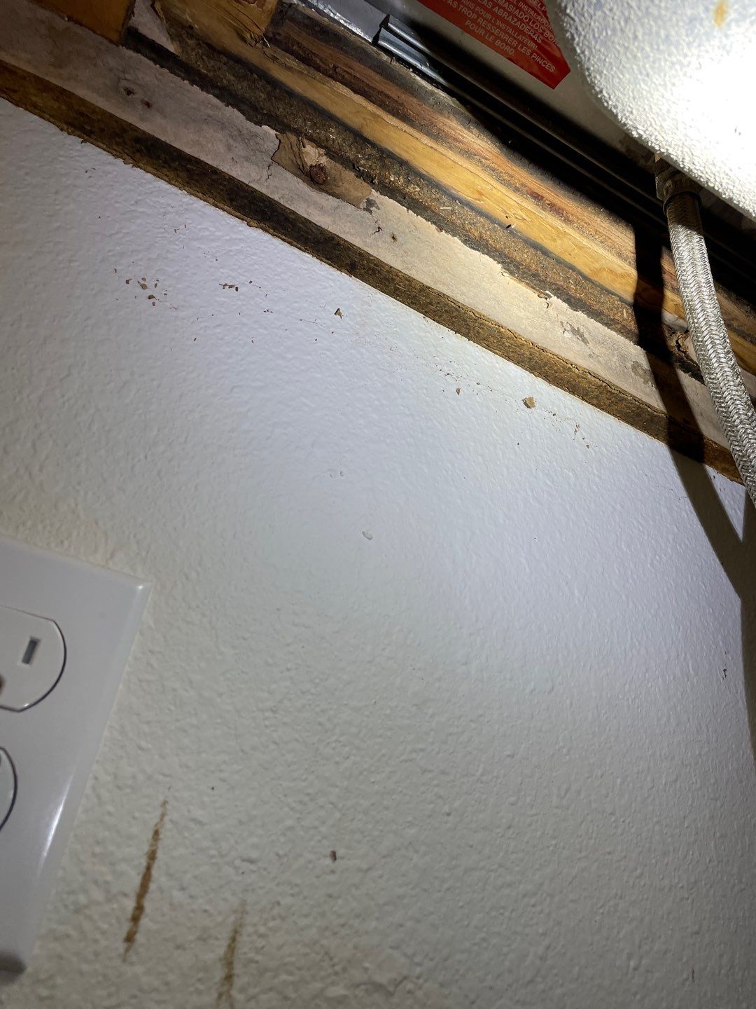 Mold Damage Project in Littleton by Accountable Home Services