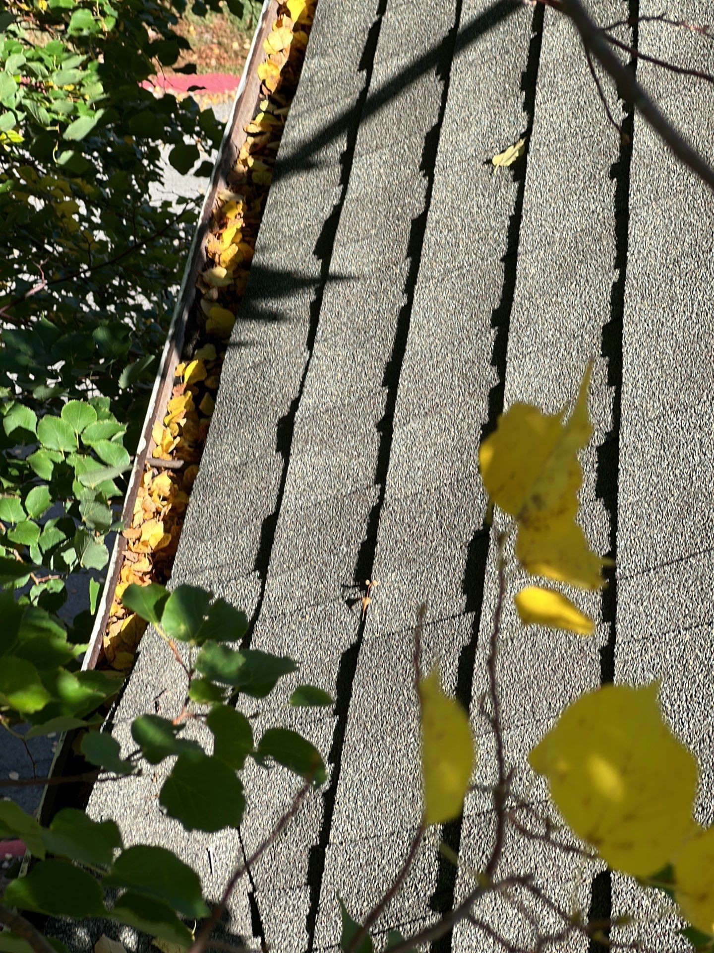 Commercial gutter cleaning Nebraska before photo with filled gutters