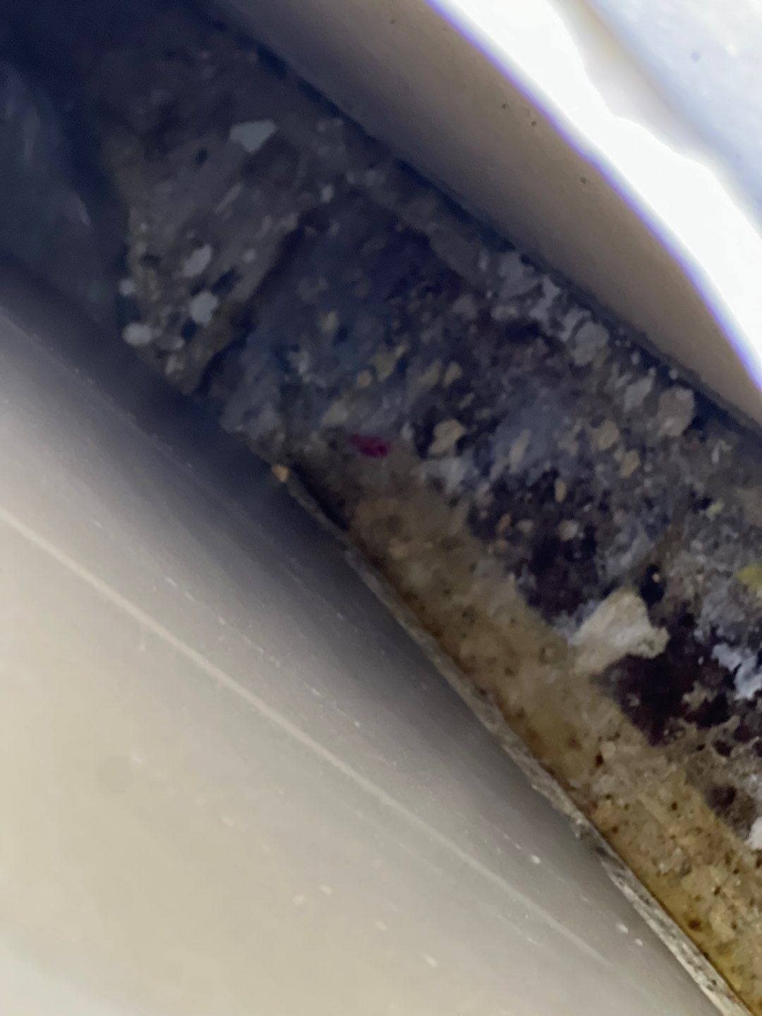 Nokomis Mold Remediation by Ampm Restoration Services
