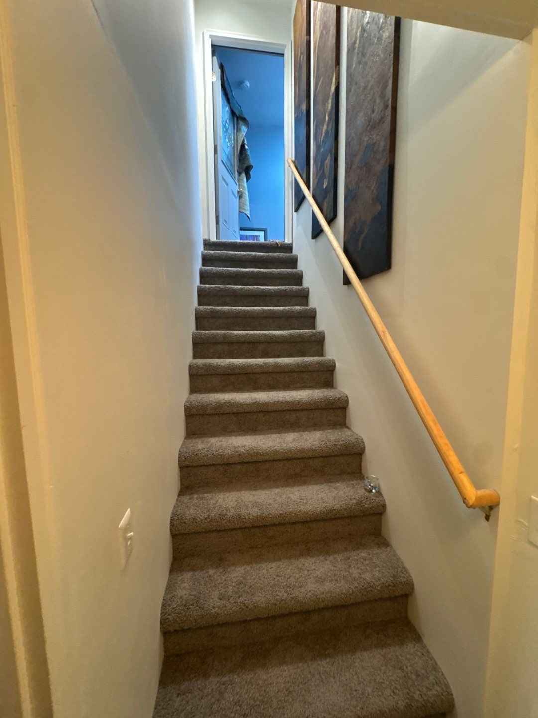 Project in Brighton by EzDry Water Mitigation & Property Restoration