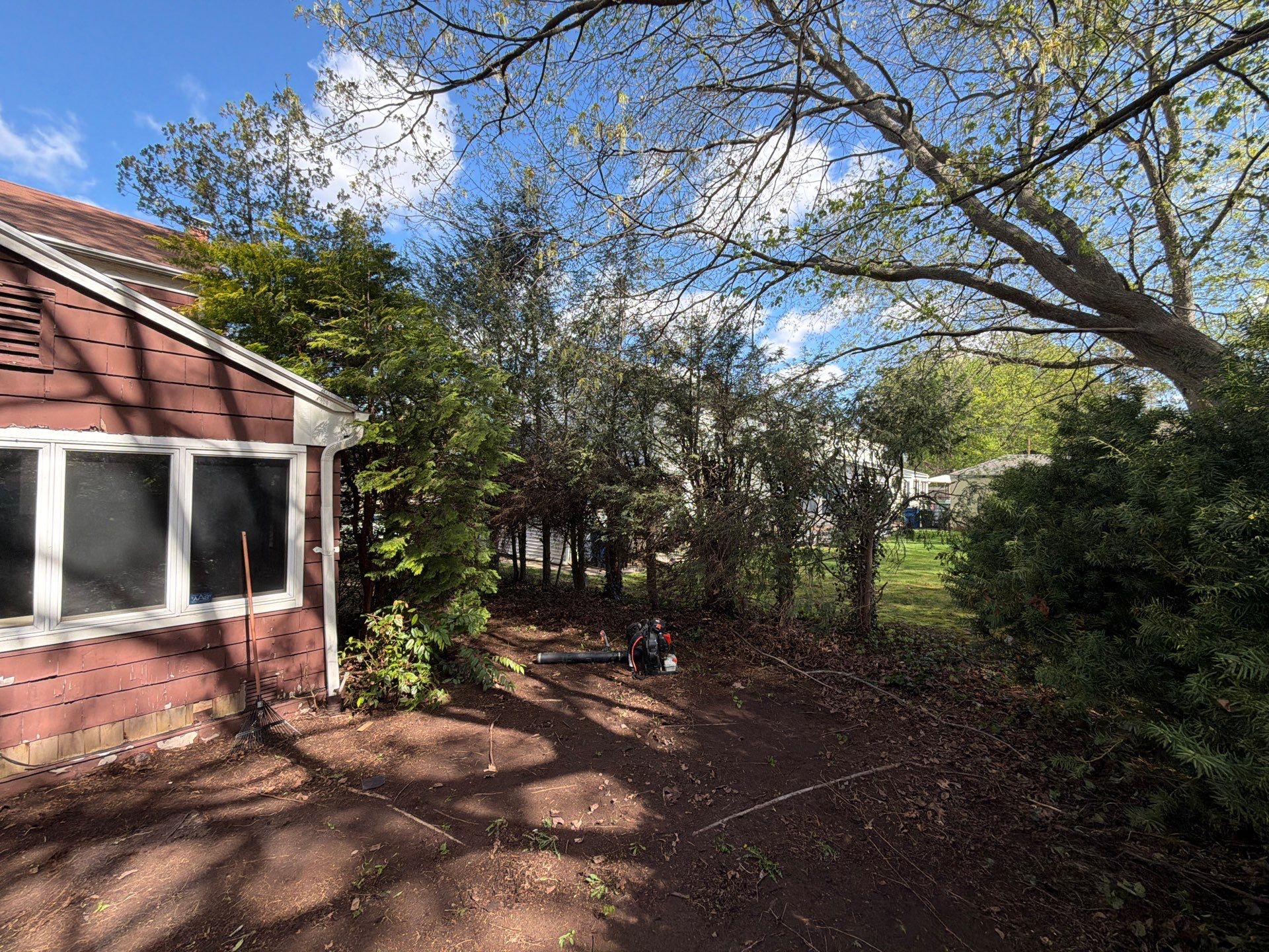 Complete Residential Spring Cleanup and Shrub Pruning in New Haven by Diamond Image LLC