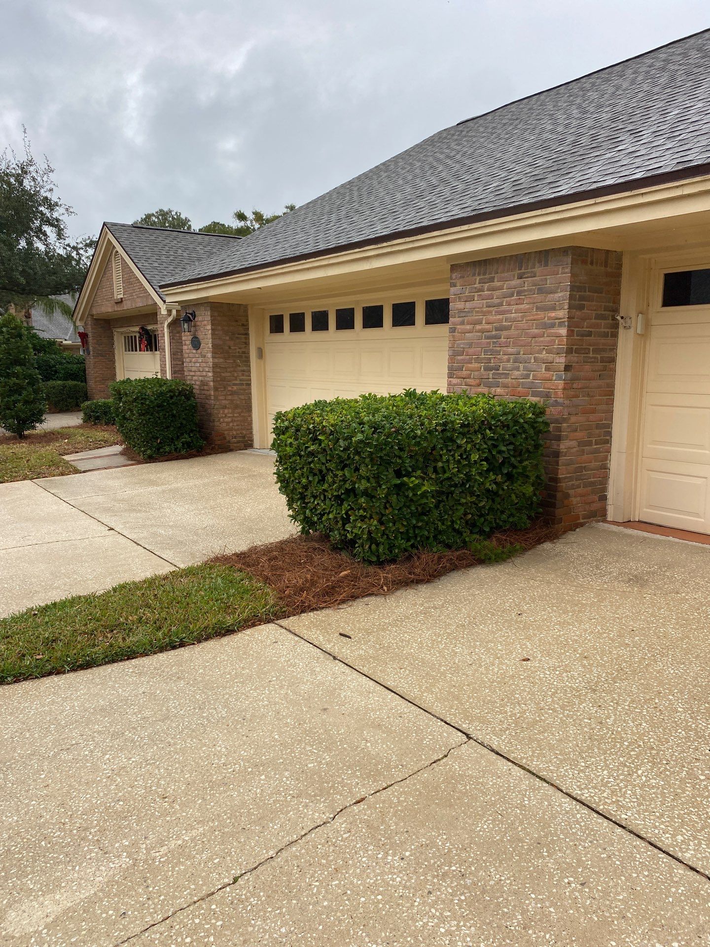 Deerwood Pointe | Tree Removal & Pine Straw Installation by ProGreen Services