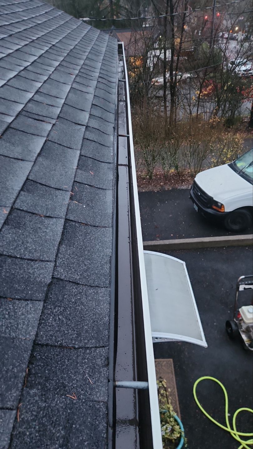 Driveway Repair using Pressure washing no chemicals by Willamette Outdoor Wash LLC
