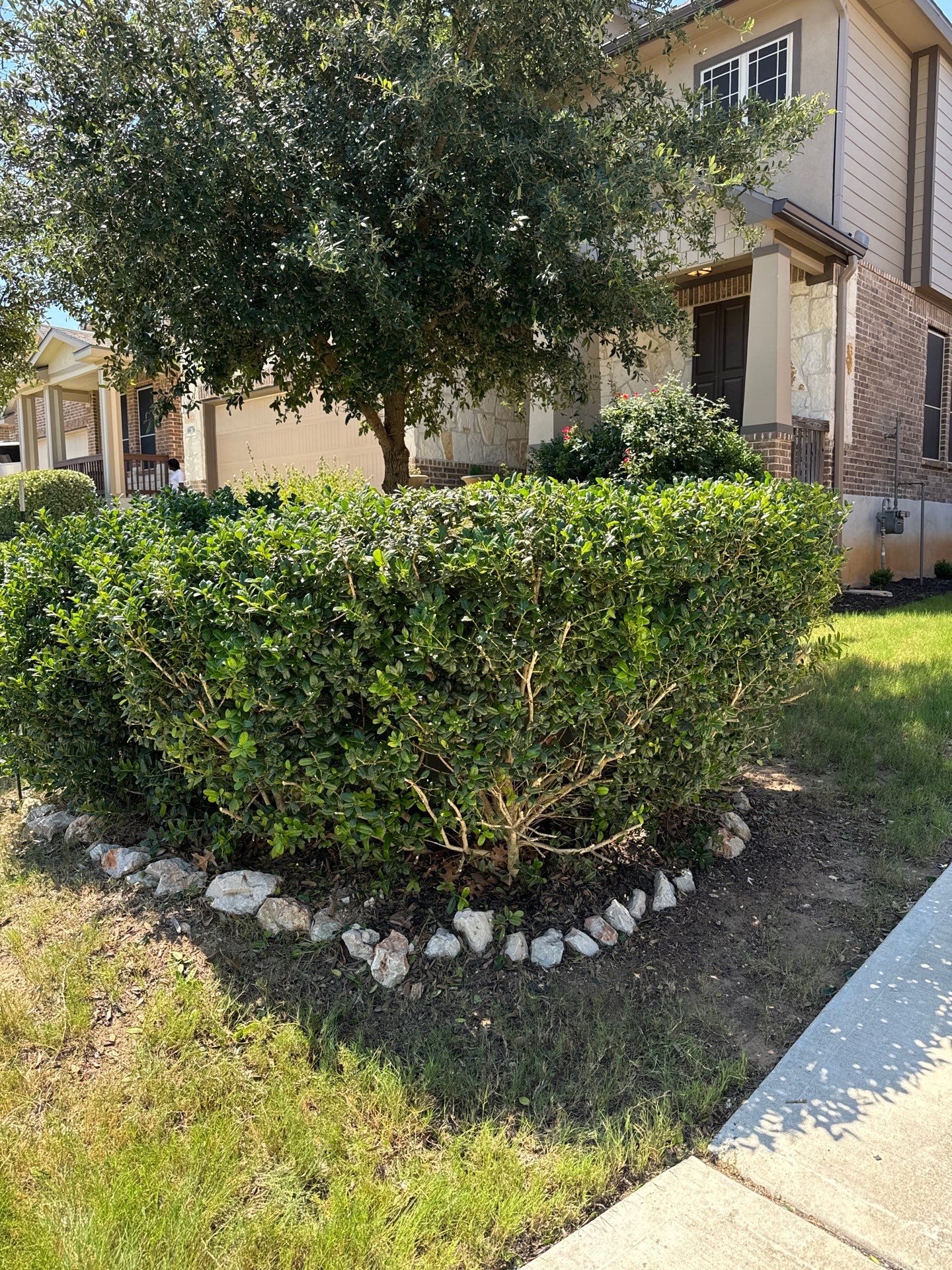 Wortham Oaks - San Antonio, TX by Hole In One Lawns, LLC