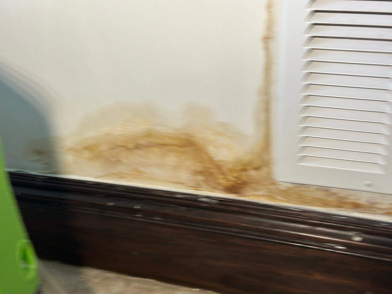 Water Damage Claim in Biscayne Park by FLAPA & KeyStone