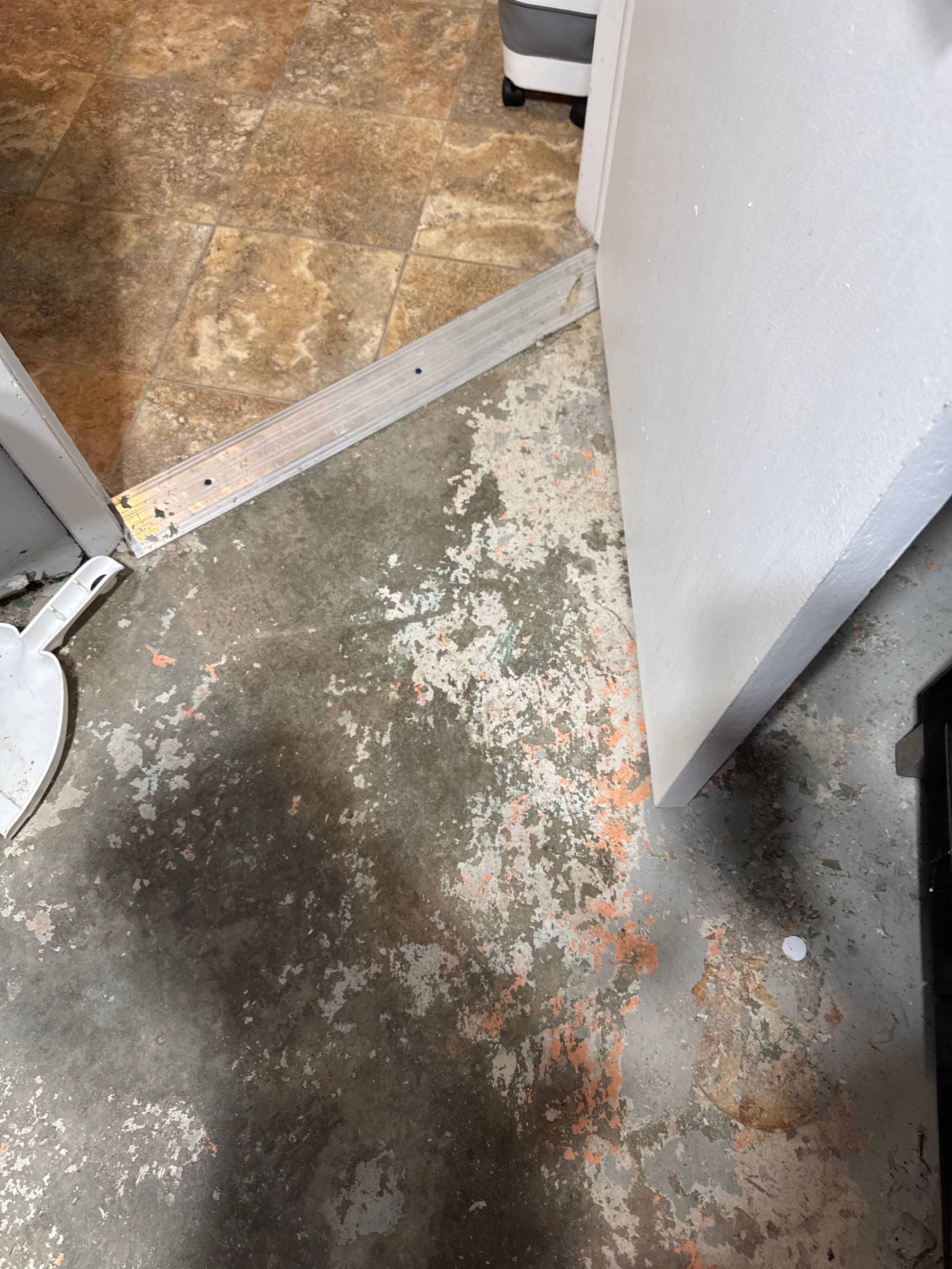 Windsor Heights Basement Remodel by Revival Concrete Coatings