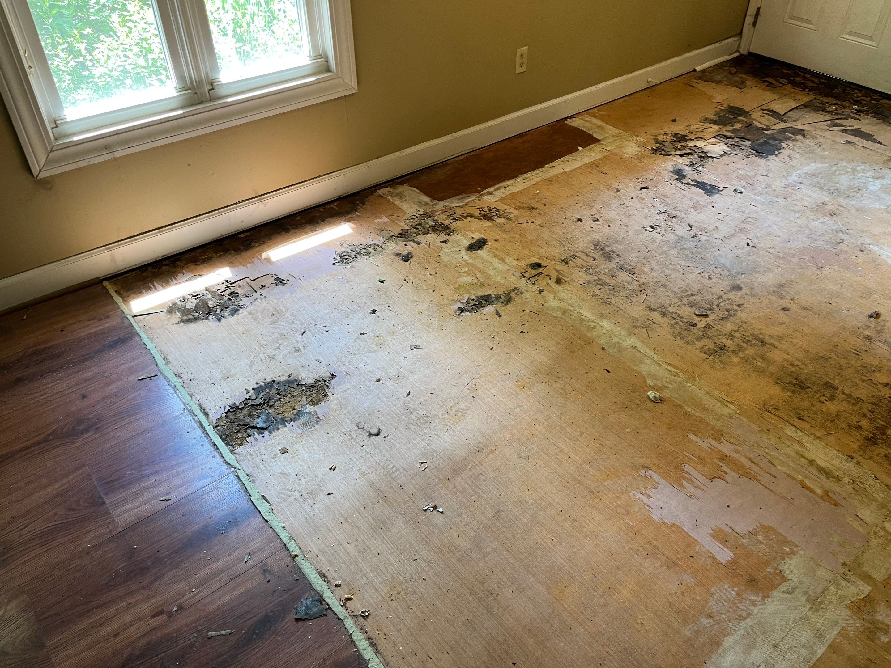 Repairs after water and asbestos remediation by ANR Restoration