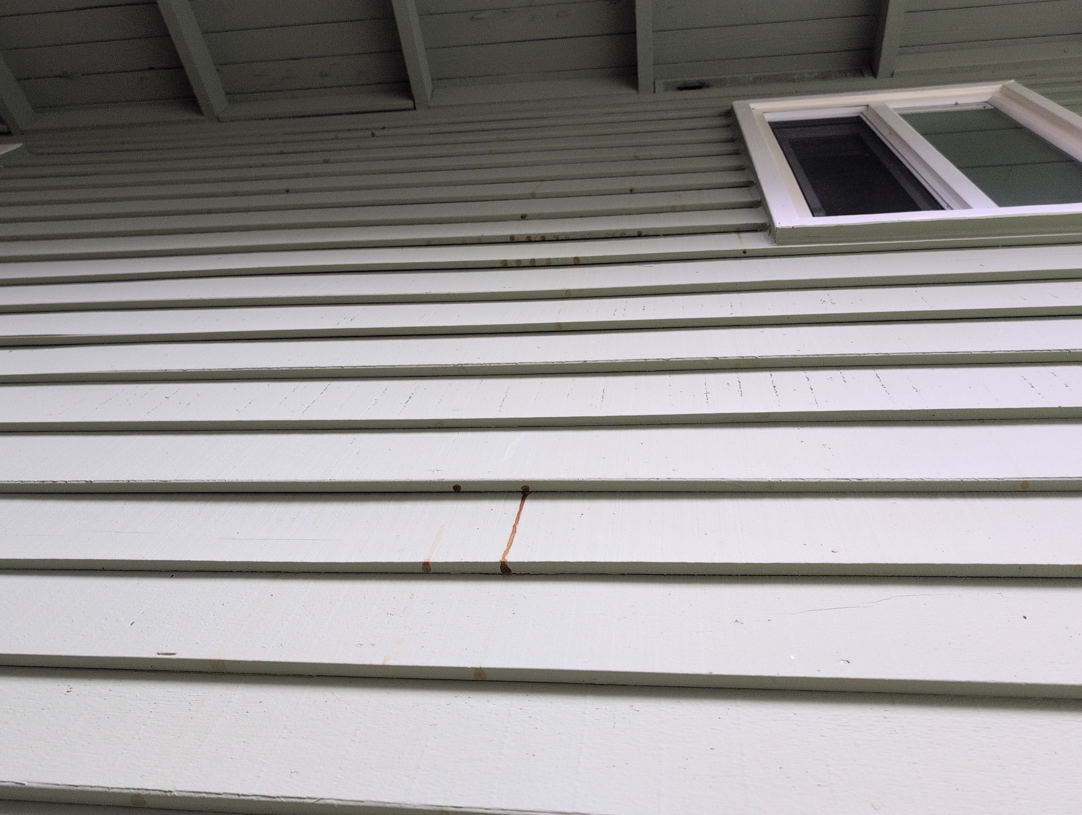 EuroShield Project in Bellevue by RoofSmart