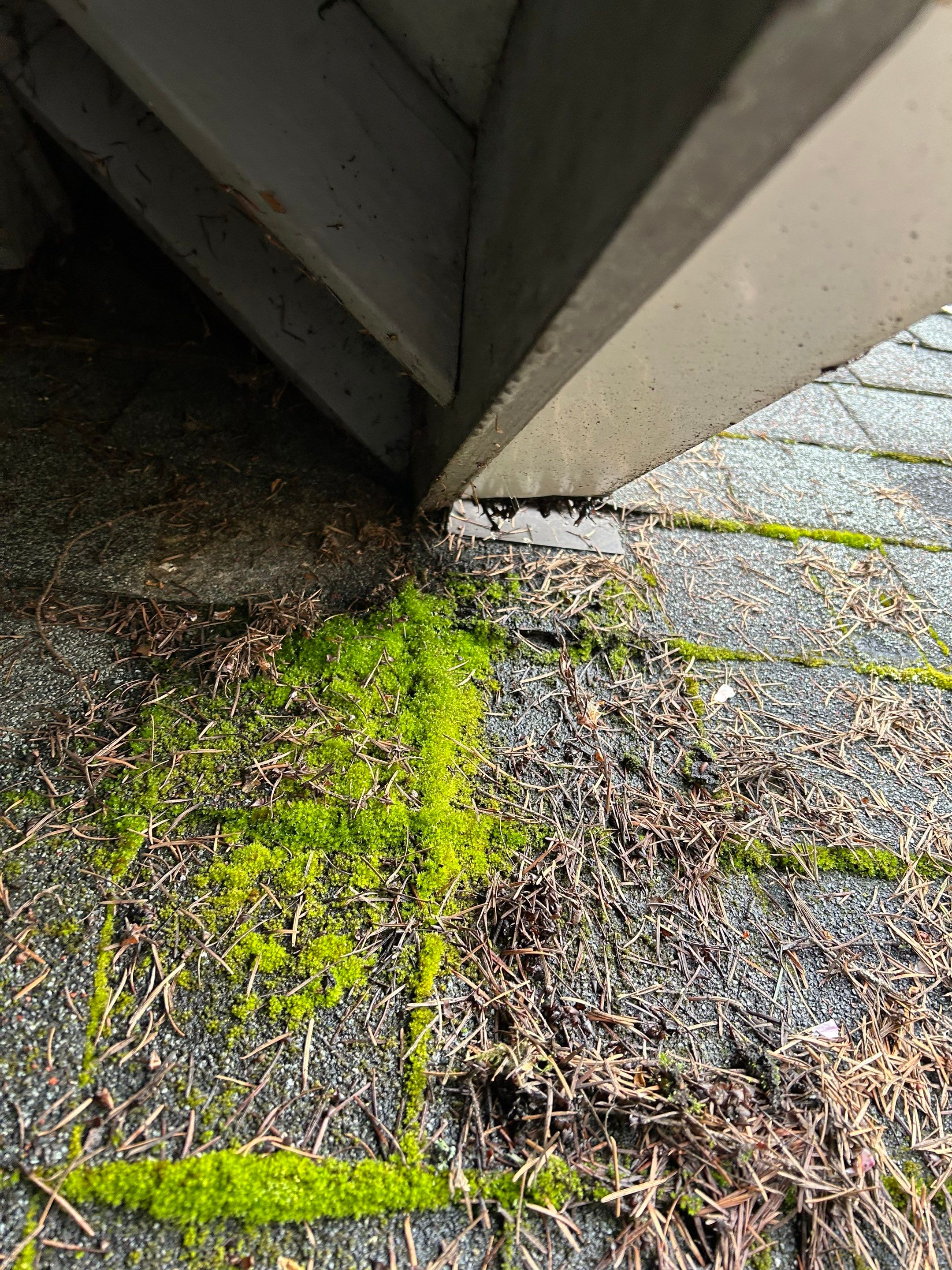 Project in Redmond by Connolly Construction Company