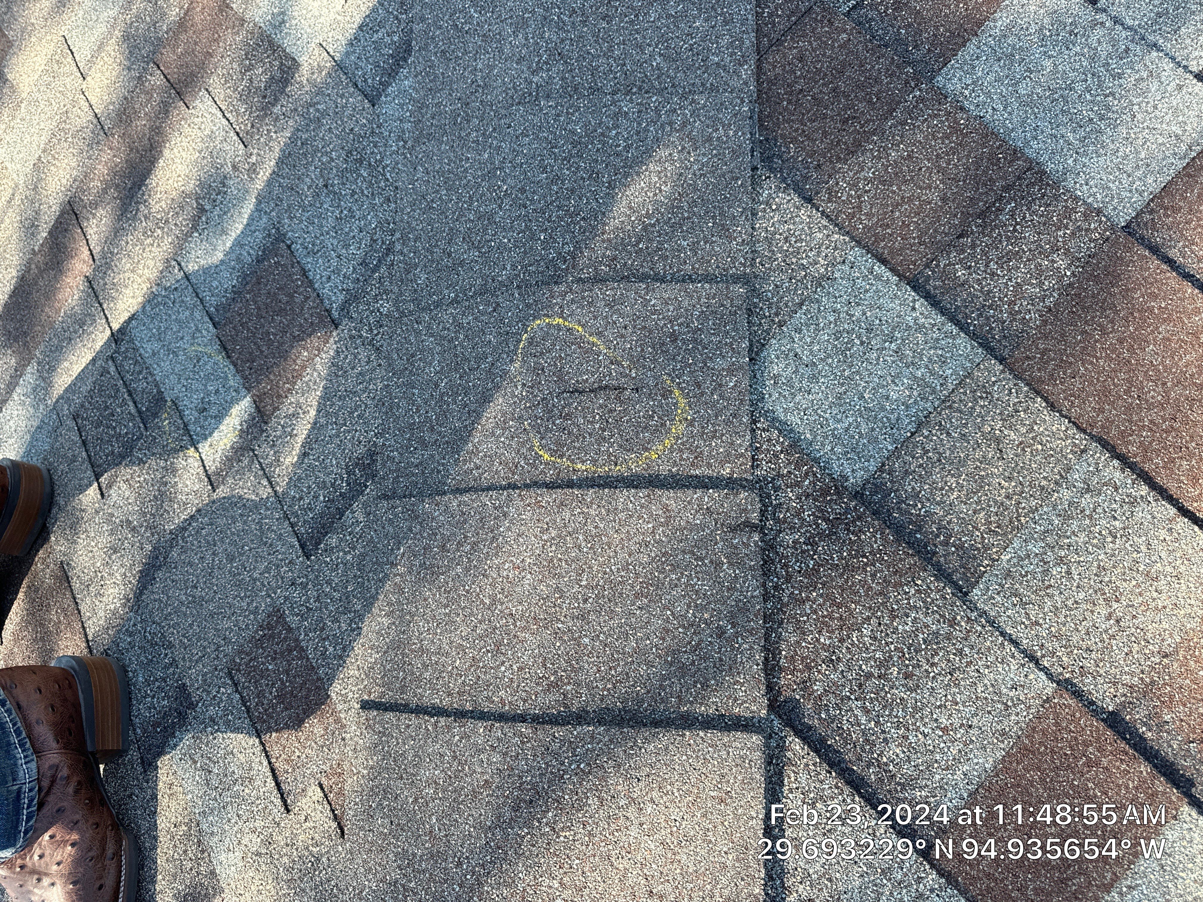 Hail Damage by Southern Belle