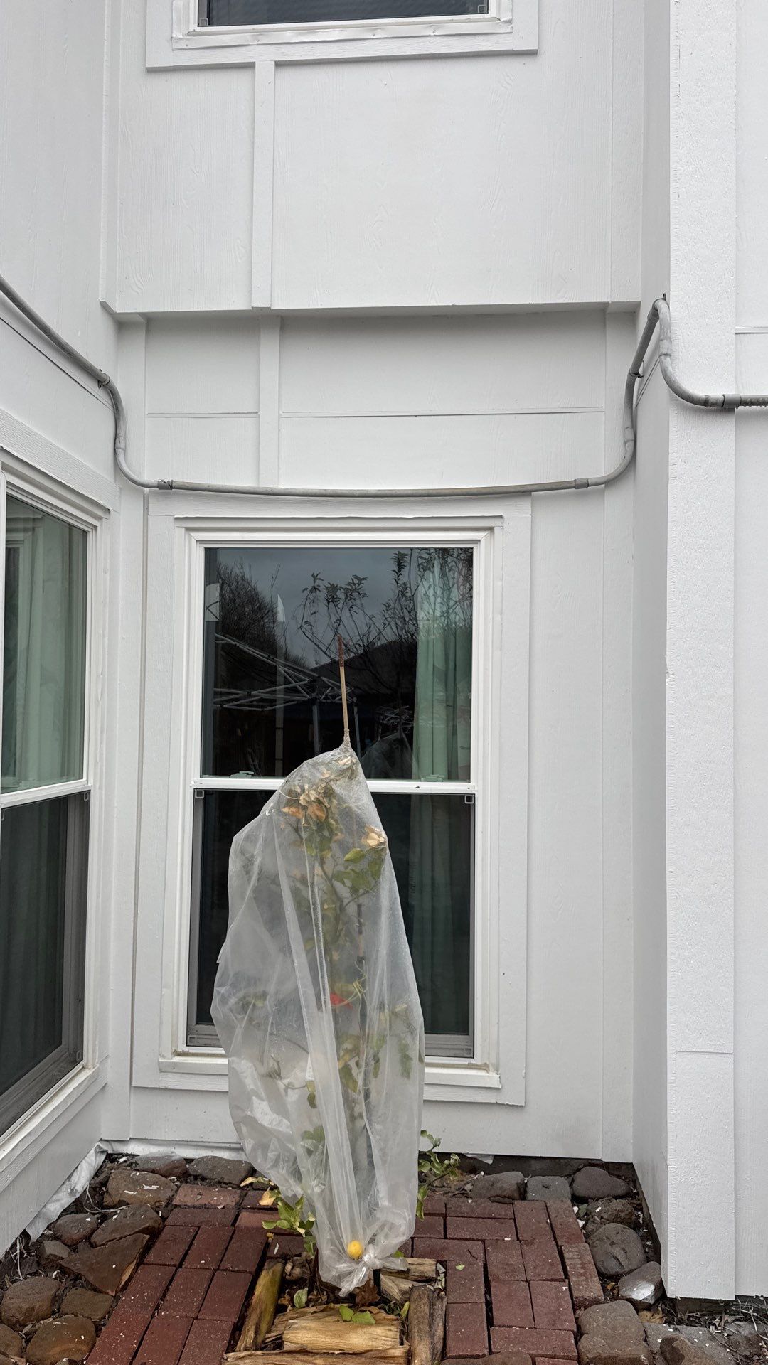 Project in Garland by Rhino Roofing and General Contracting, LLC