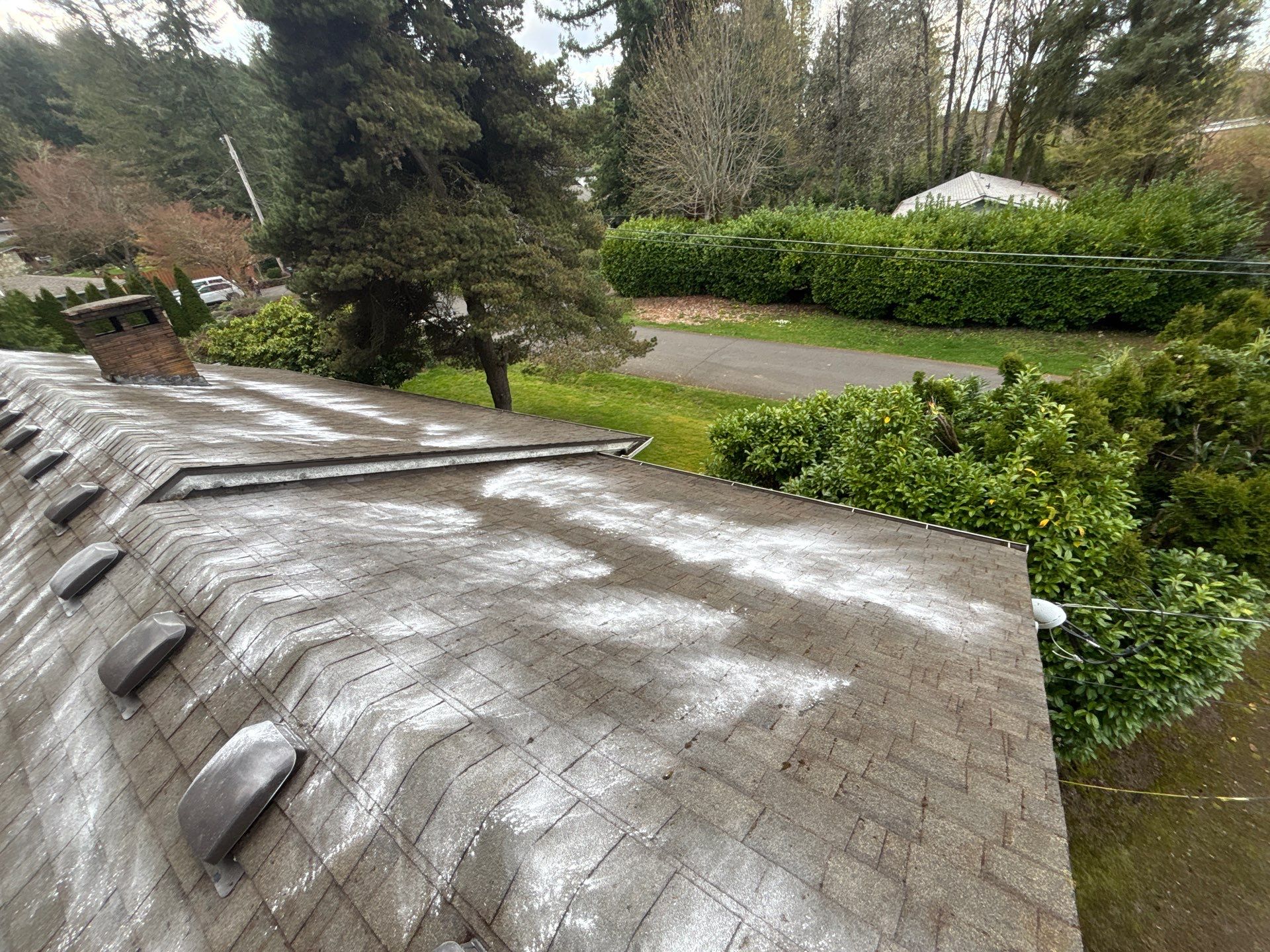 Roof Maintenance in West Linn by Prodigy Roof Solutions