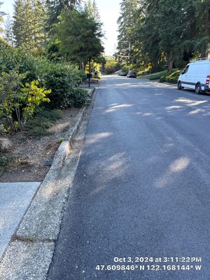 Concrete Curbing & Asphalt Patch Repair | Bellevue