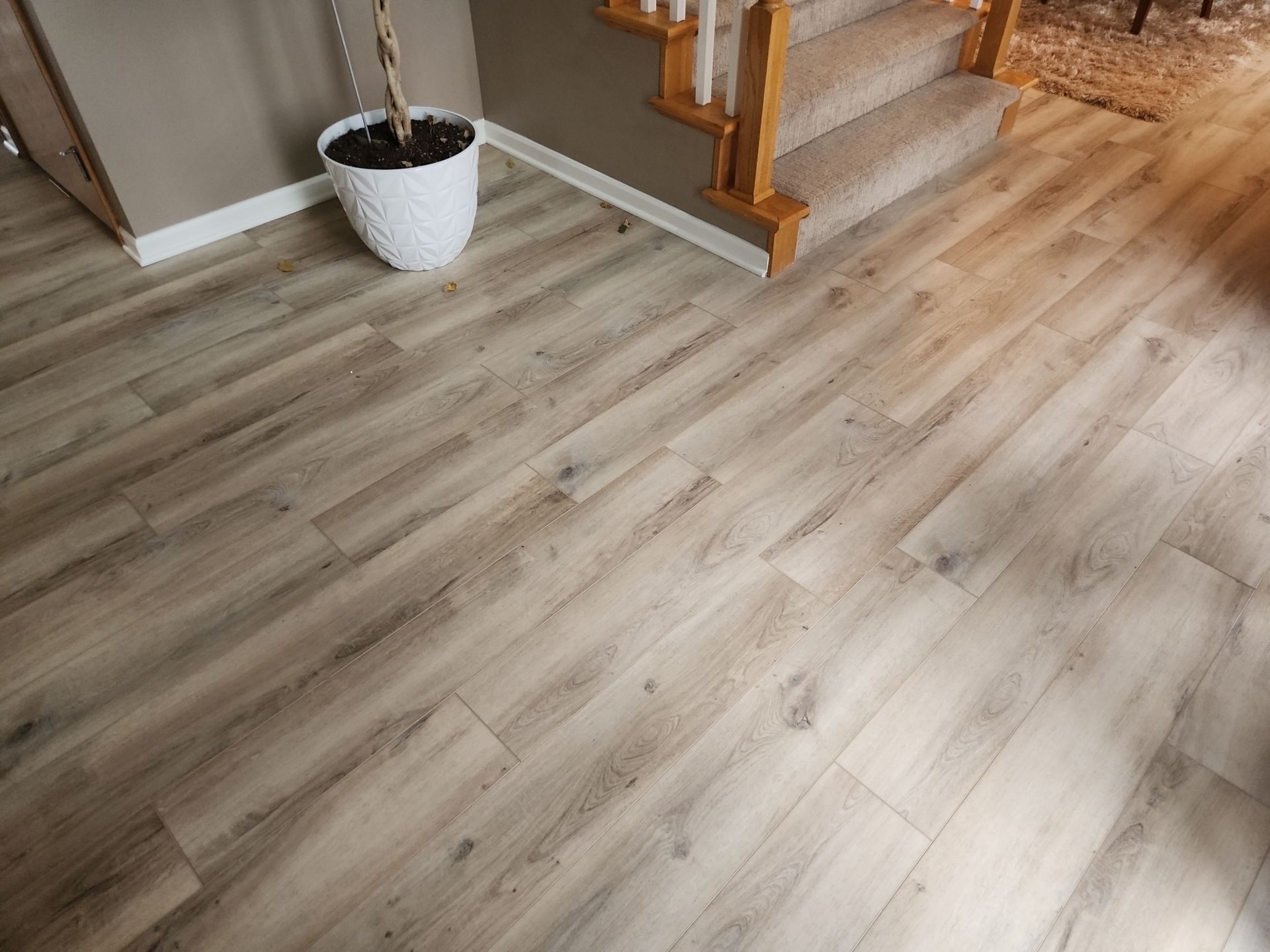 Abby Wenninghoff by FloorCo