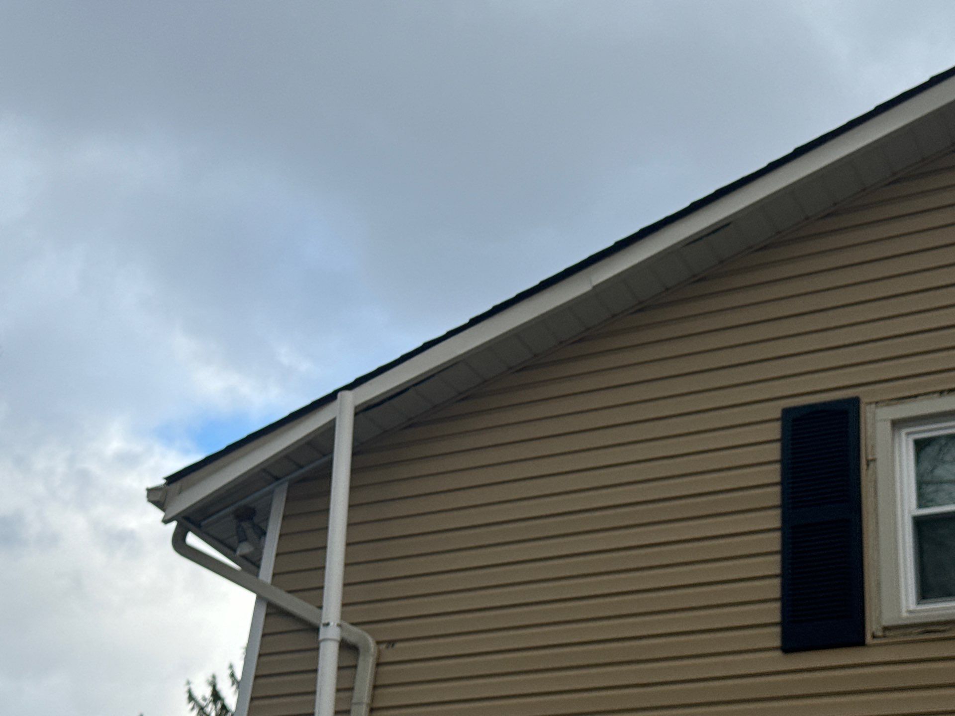 Dennis Maio by Silver Leaf Contracting 