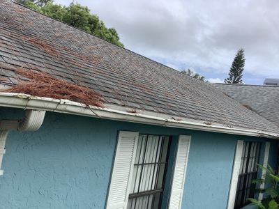 Professional Gutter Cleaning 