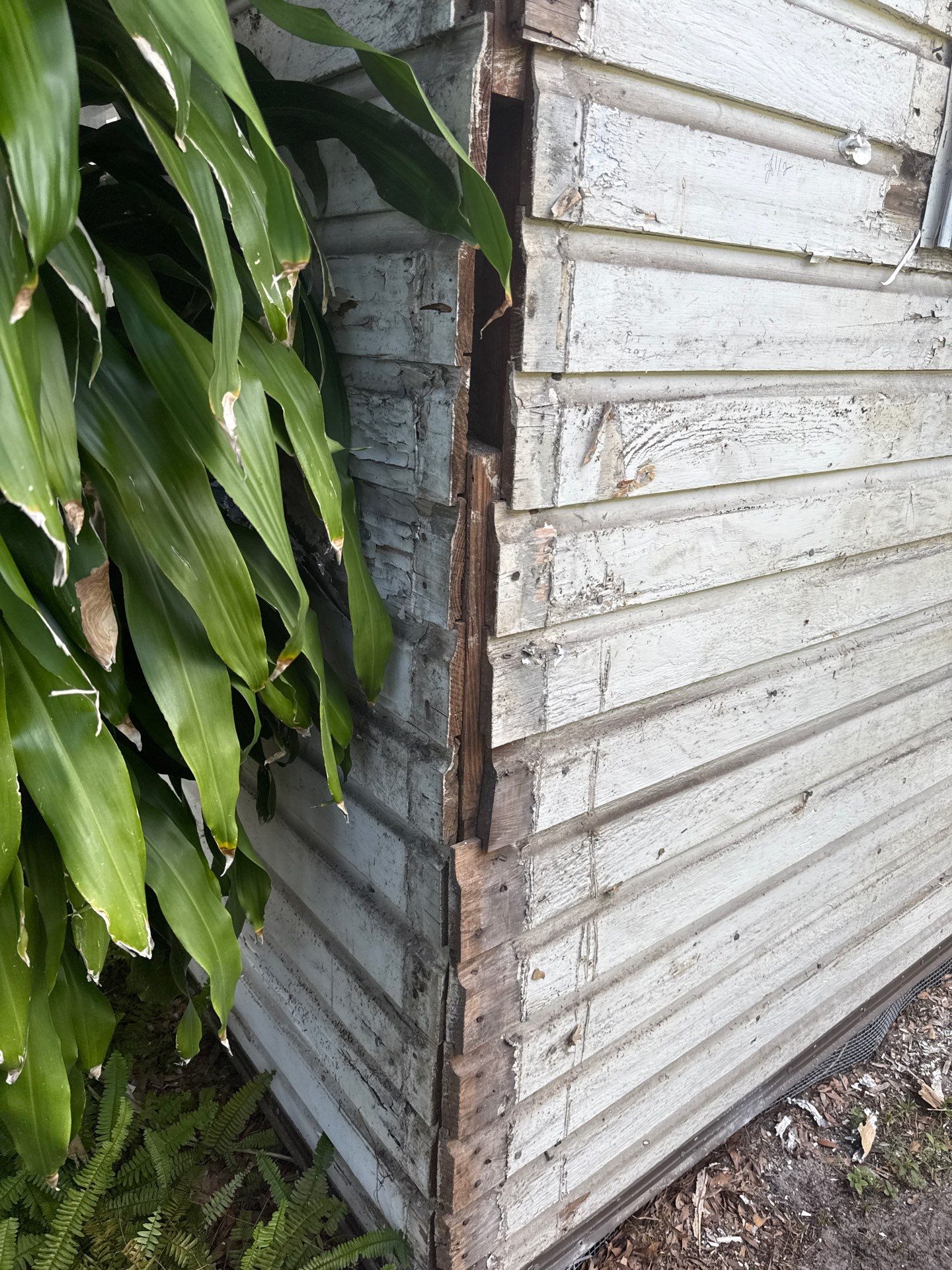 Project in Tampa by Bayshore Exteriors