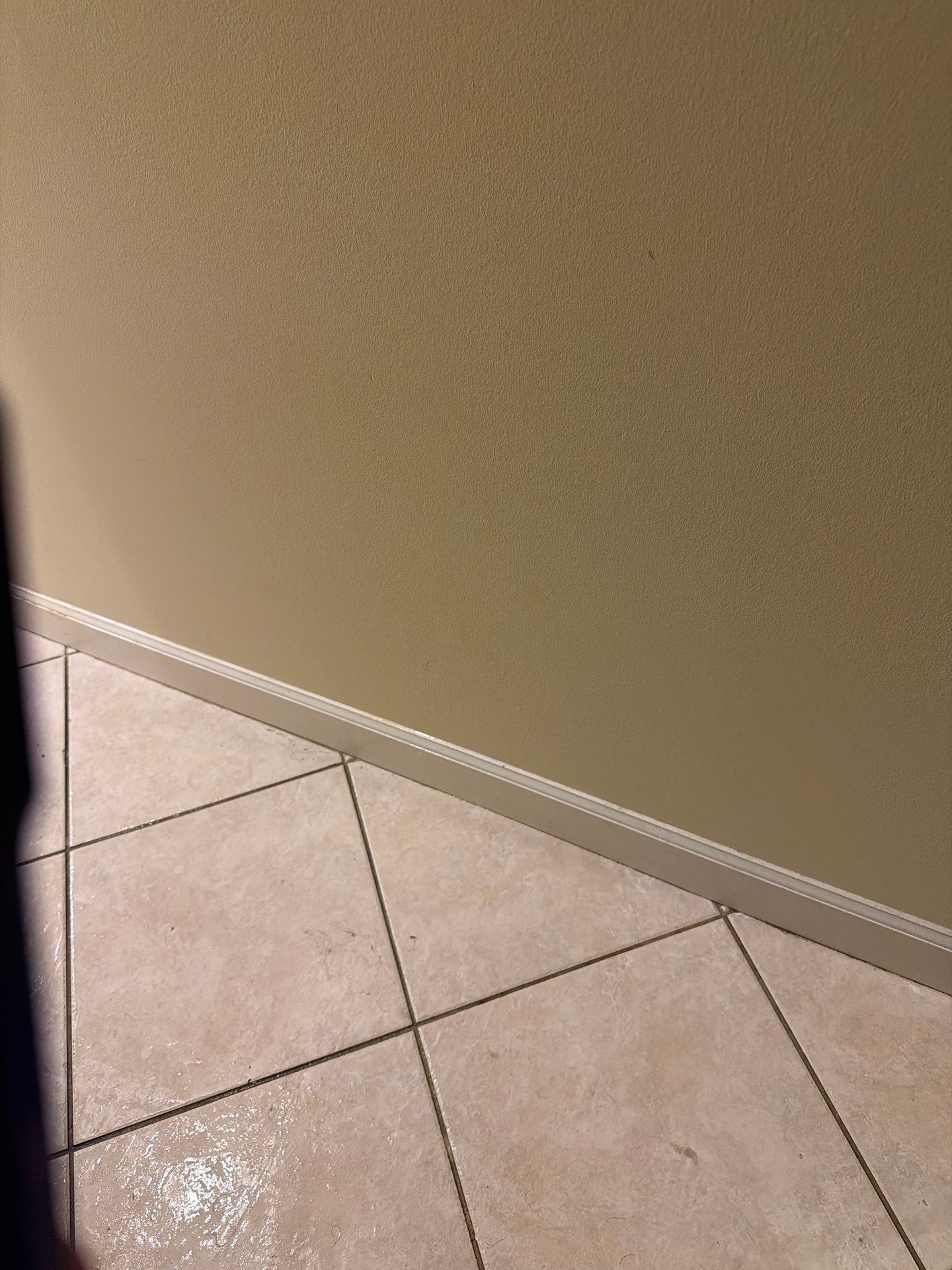 Water Damage Mitigation and Thermal Moisture Inspection in Port St. Lucie by SuperClean