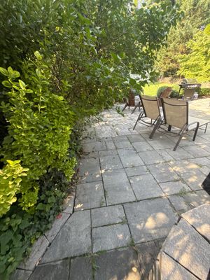 Gutter Cleaning in Nutley, NJ — Gallo Bros job photo