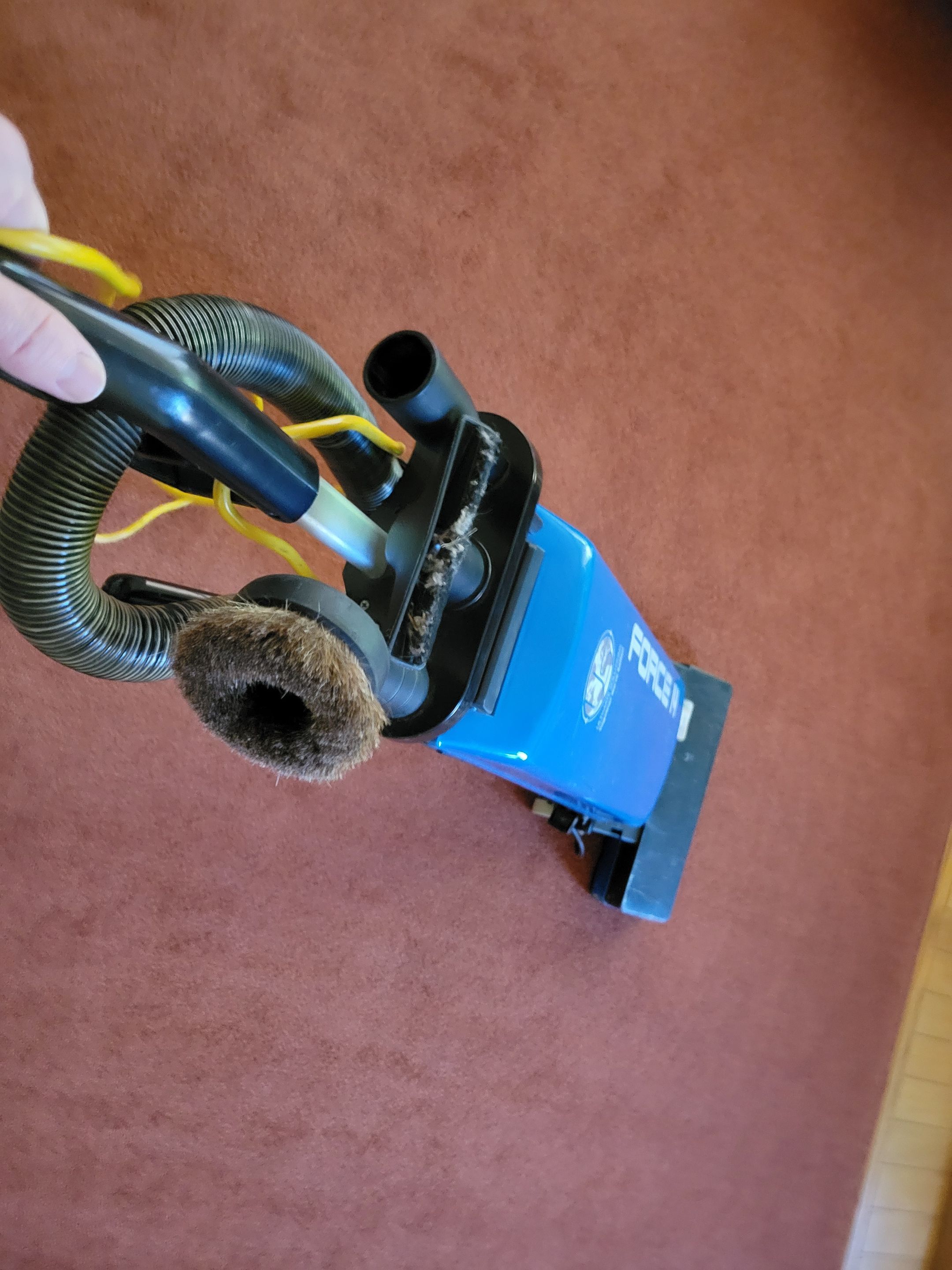 Carpet & Upholstery Cleaning by Ardent Carpet Restore LLC