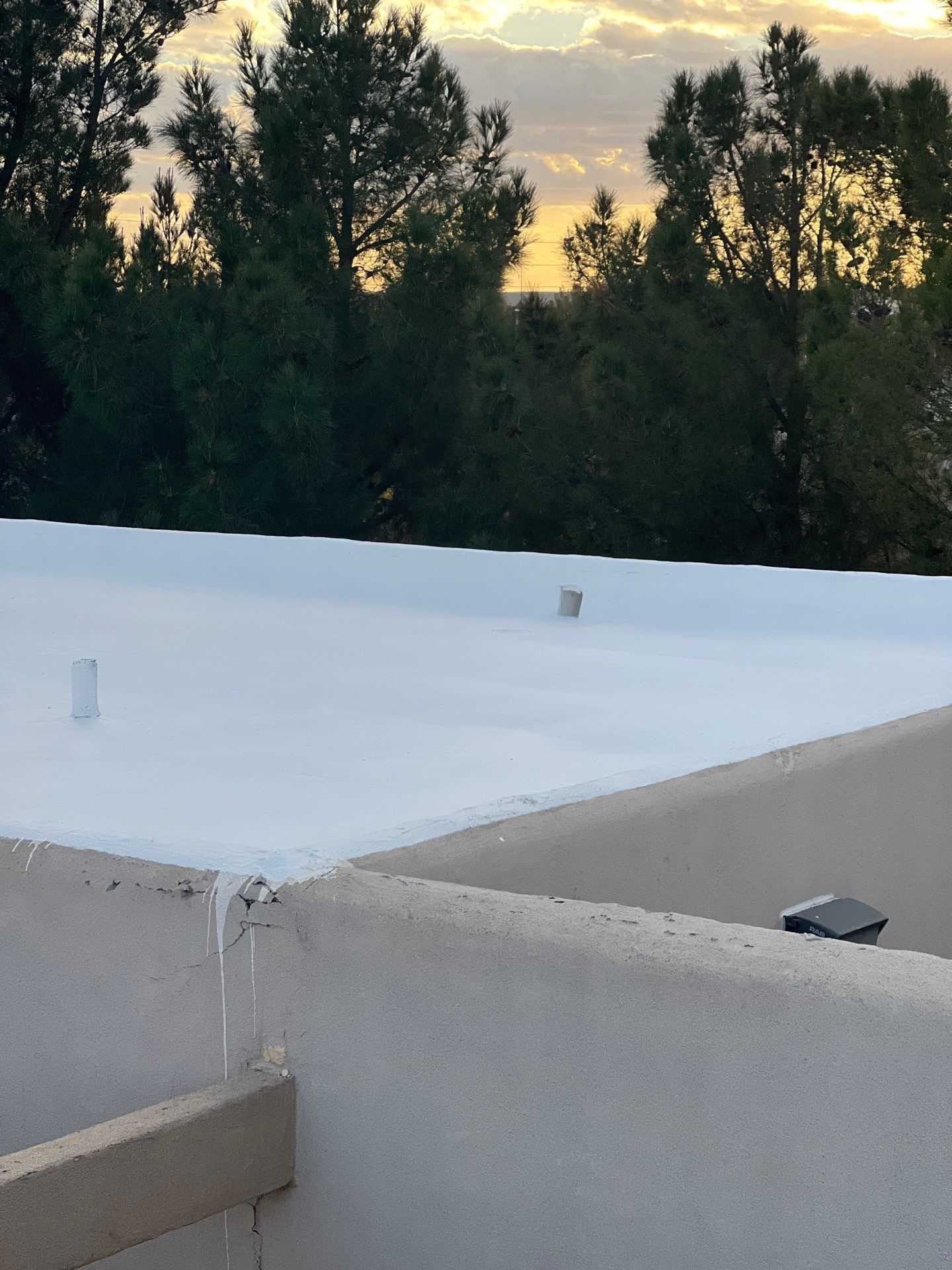 Las Palmas Apartments by SPF Services